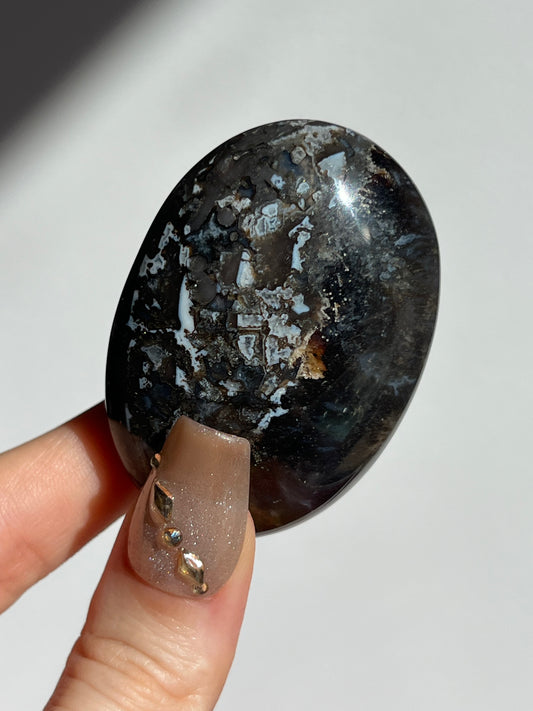 Agatised Petrified Wood Palmstone F