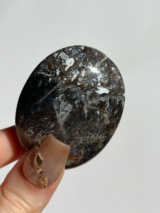 Agatised Petrified Wood Palmstone G
