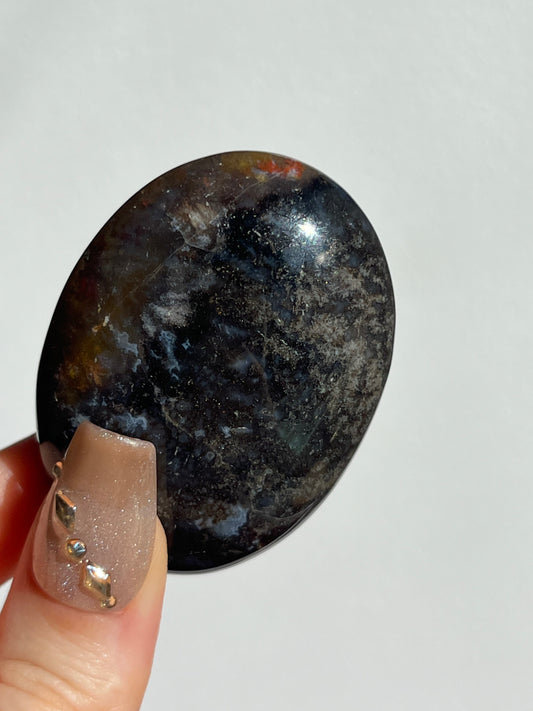 Petrified Wood Palmstone H