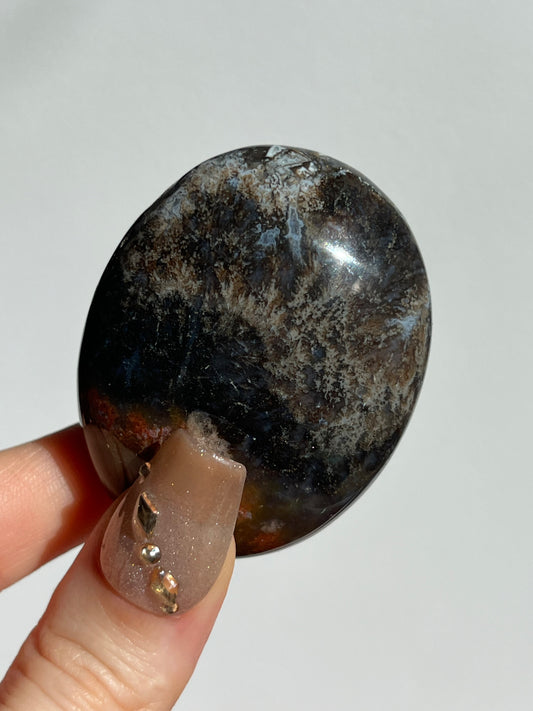 Petrified Wood Palmstone I