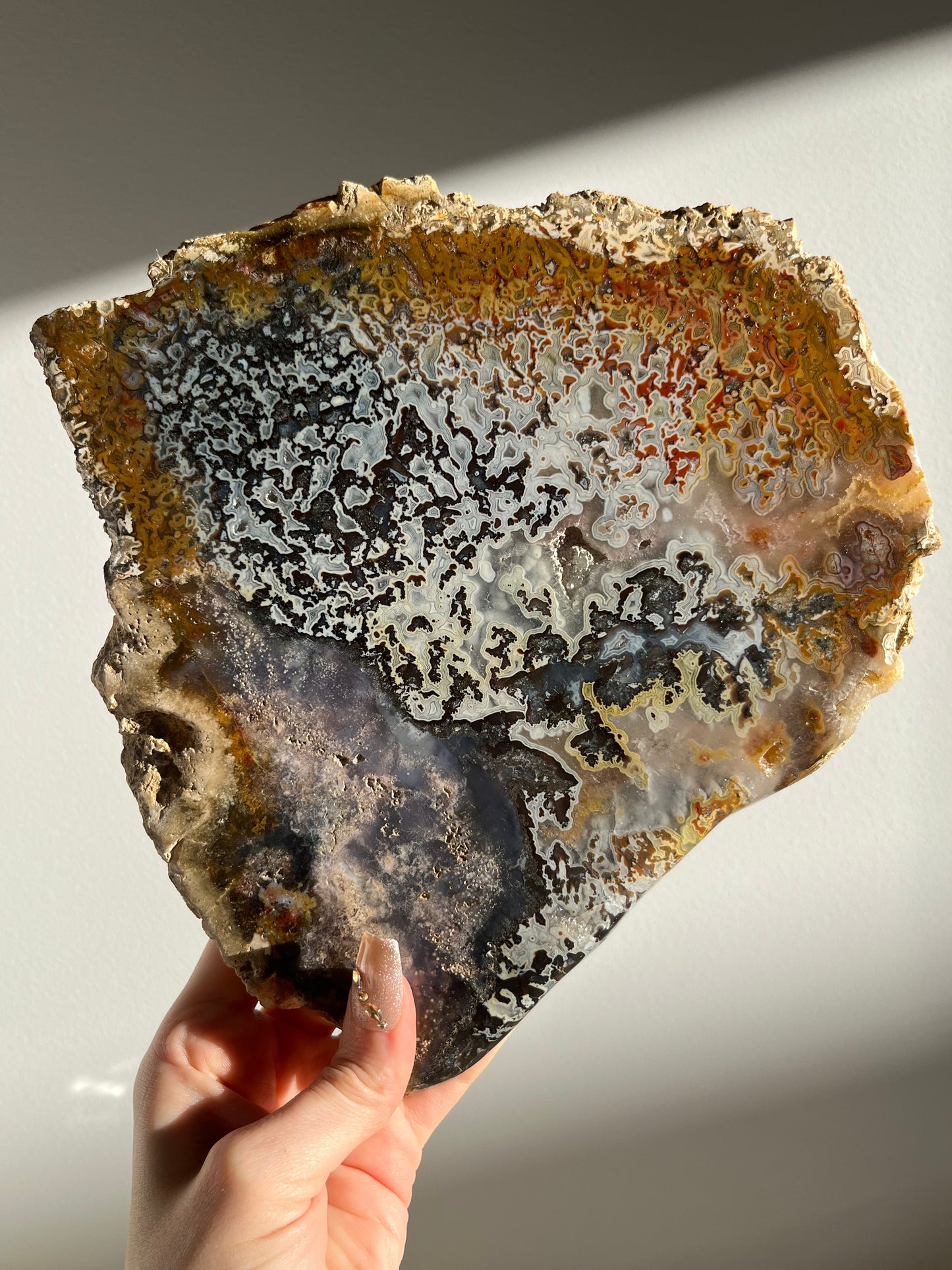 Agatised Petrified Wood with Marcasite, Face Agate Patterns and Parallax Effect Slab A