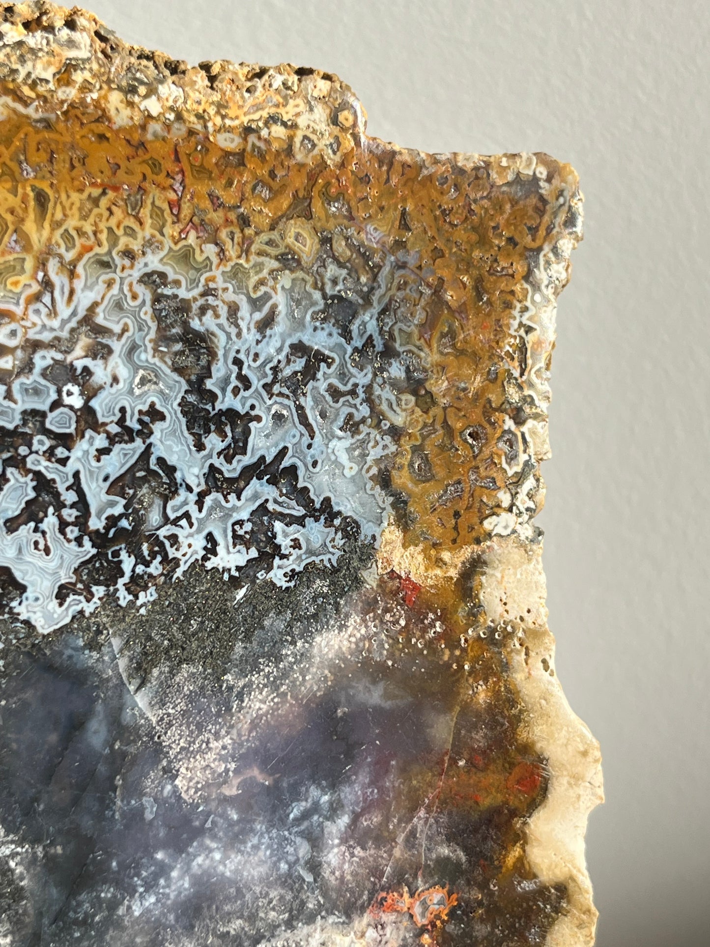Agatised Petrified Wood with Marcasite, Face Agate Patterns and Parallax Effect Slab A