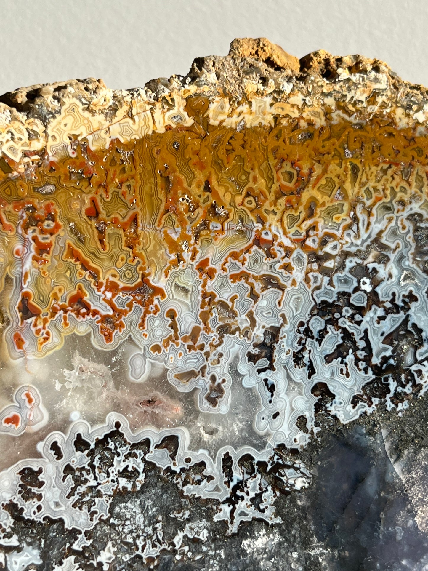 Agatised Petrified Wood with Marcasite, Face Agate Patterns and Parallax Effect Slab A
