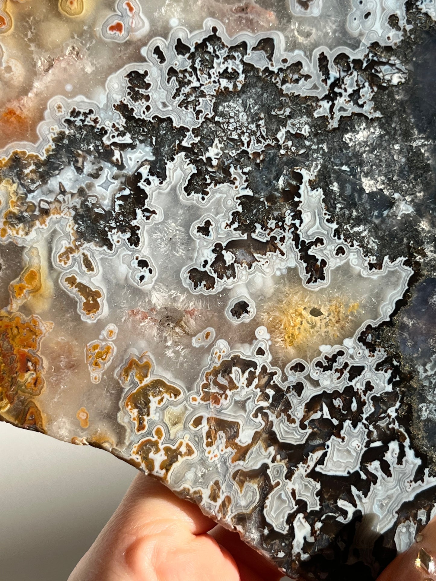 Agatised Petrified Wood with Marcasite, Face Agate Patterns and Parallax Effect Slab A