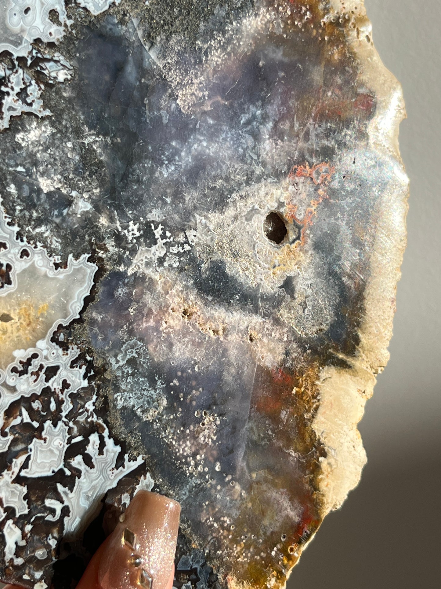 Agatised Petrified Wood with Marcasite, Face Agate Patterns and Parallax Effect Slab A