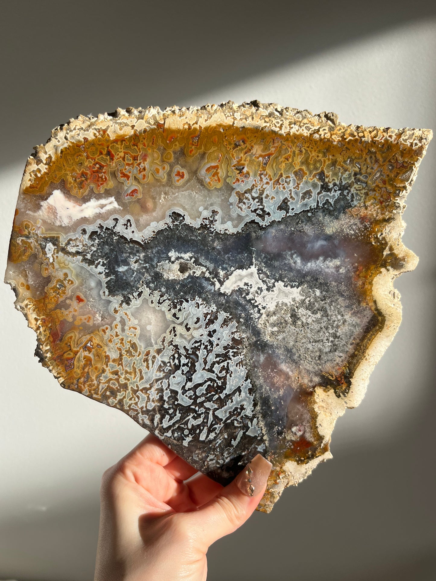 Agatised Petrified Wood with Marcasite, Face Agate Patterns and Parallax Effect Slab B