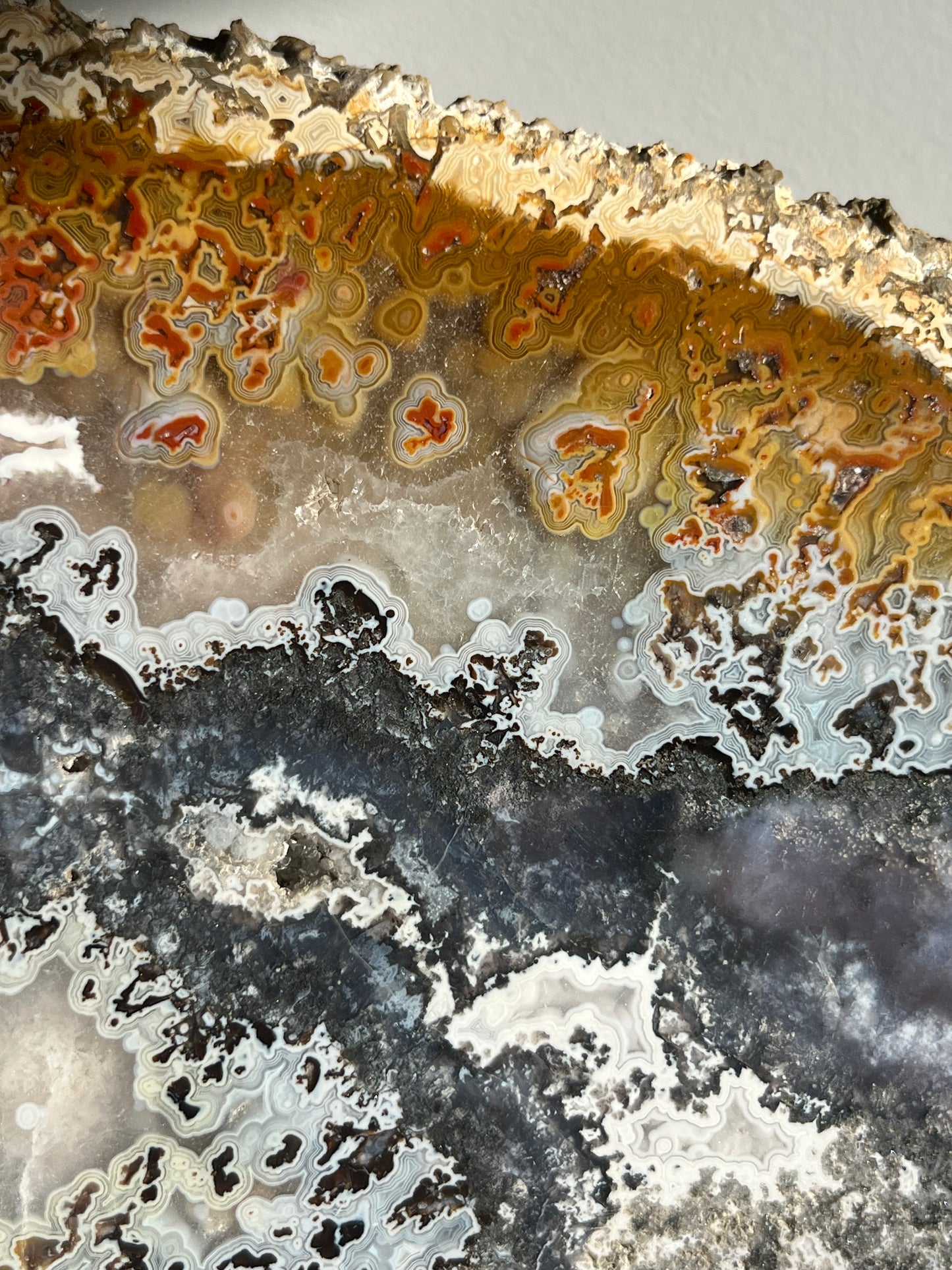 Agatised Petrified Wood with Marcasite, Face Agate Patterns and Parallax Effect Slab B