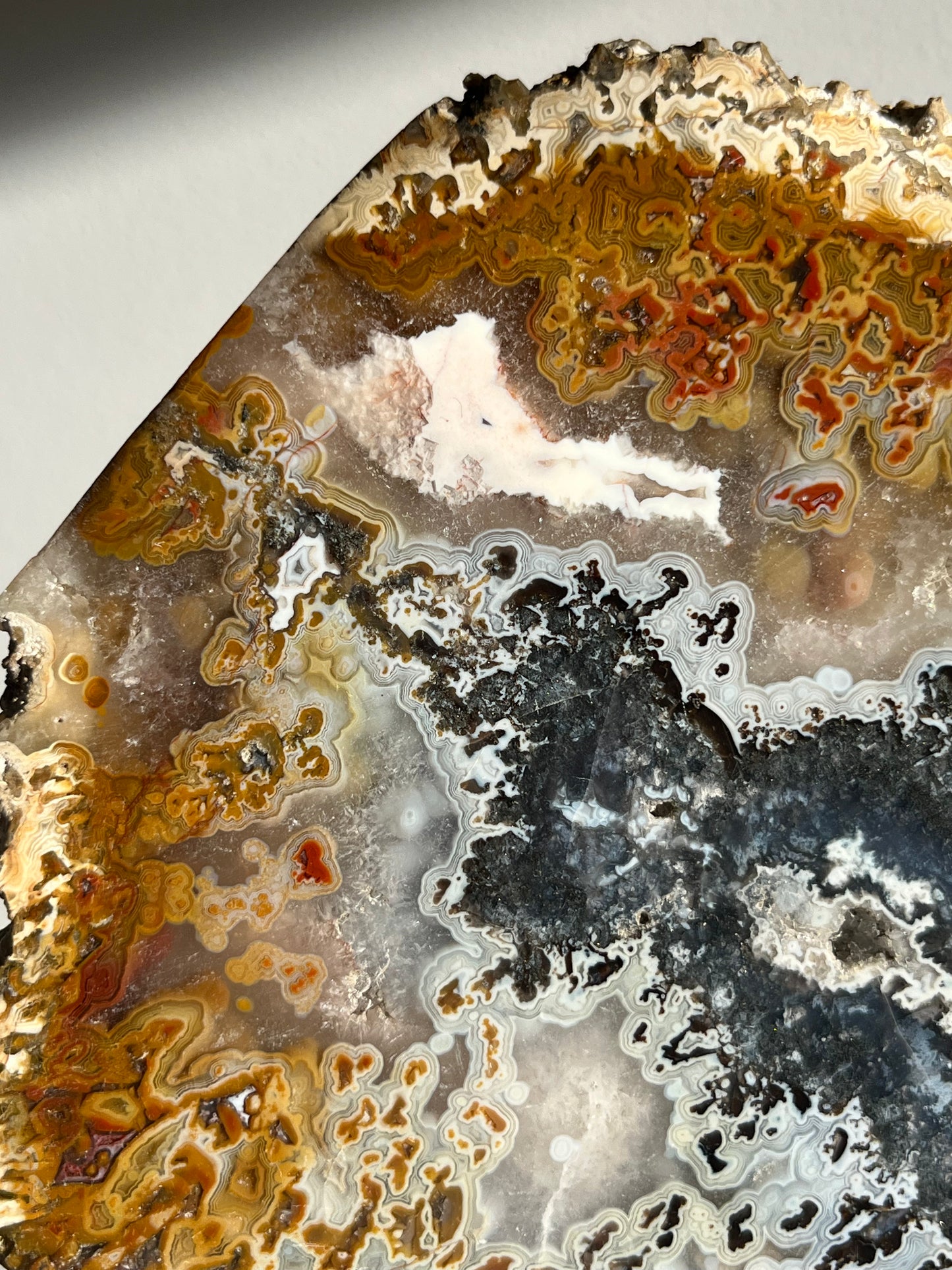 Agatised Petrified Wood with Marcasite, Face Agate Patterns and Parallax Effect Slab B