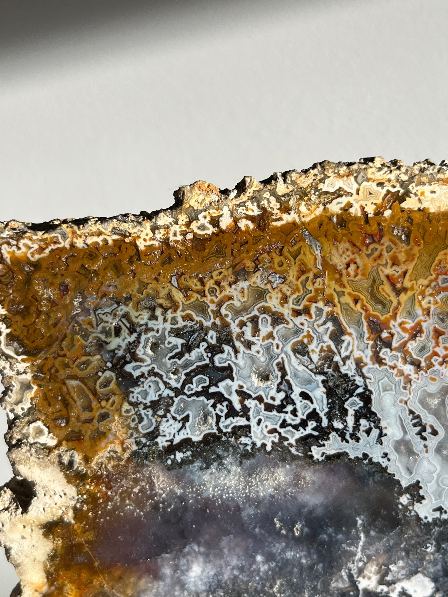 Agatised Petrified Wood with Marcasite, Face Agate Patterns and Parallax Effect Slab B