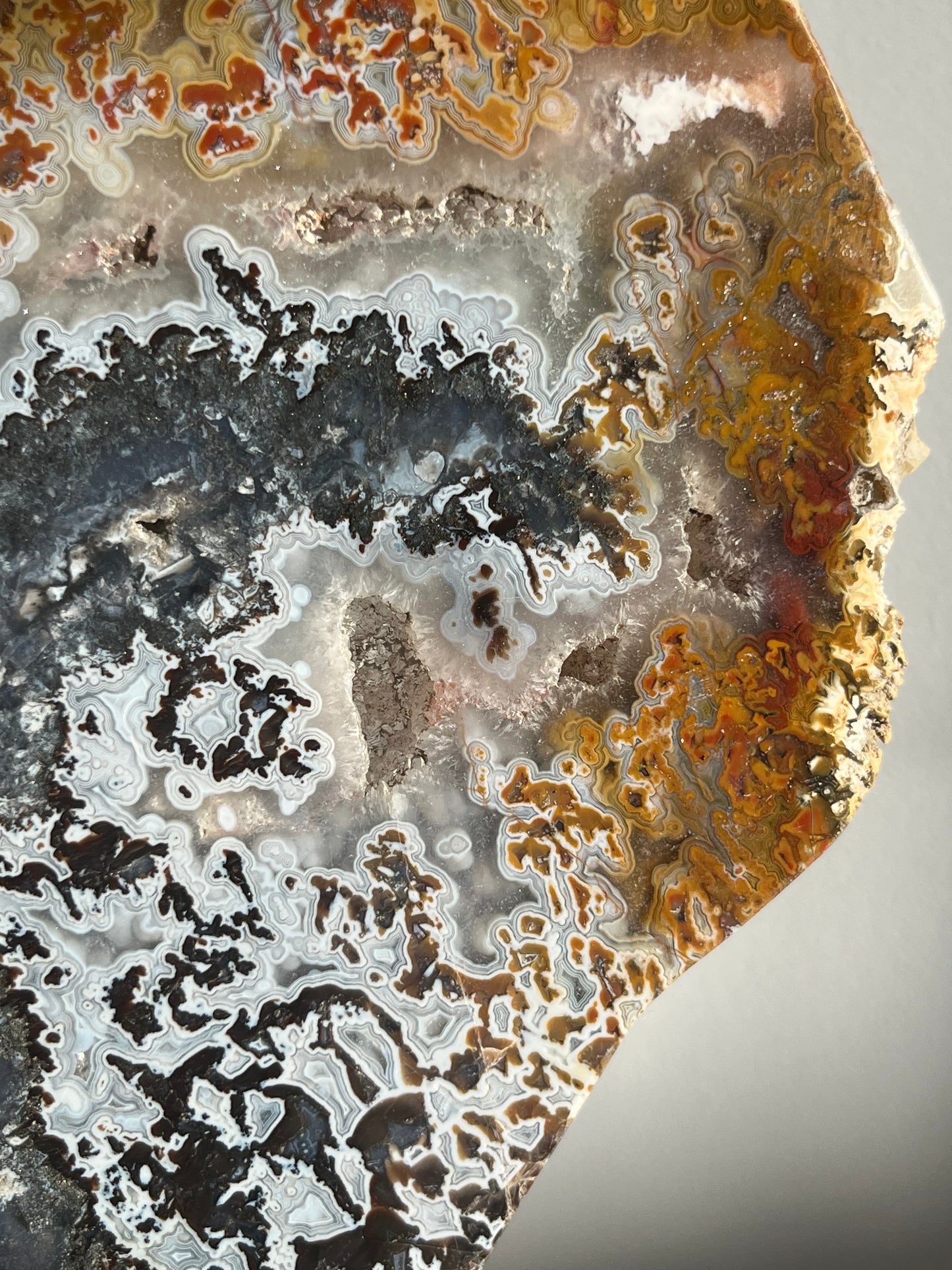 Agatised Petrified Wood with Marcasite, Face Agate Patterns and Parallax Effect Slab B