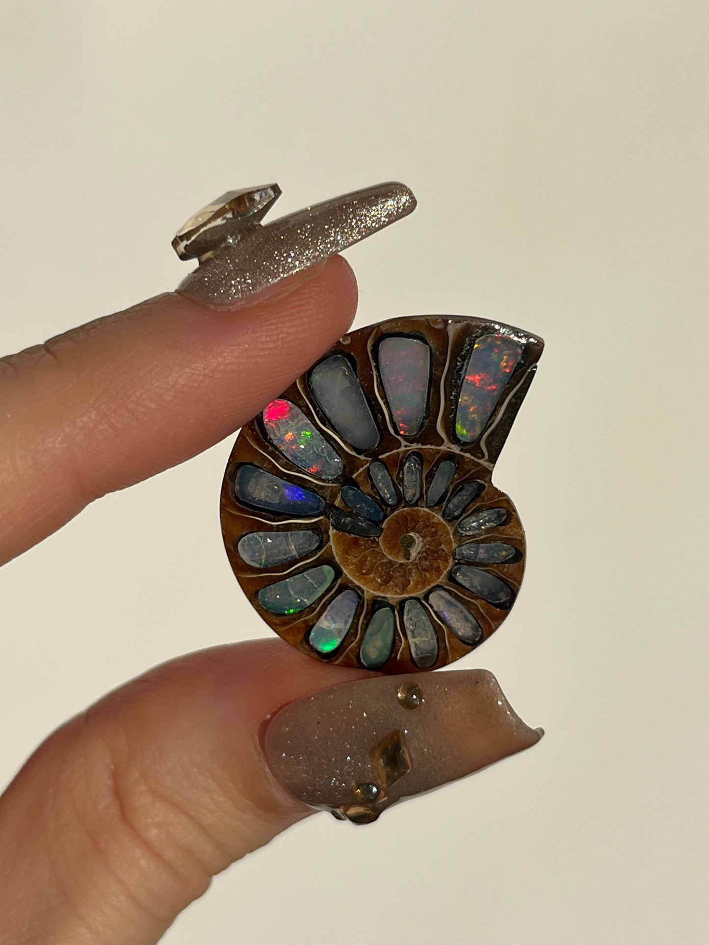 Opalised Ammonite Fossil Pair with Ethiopian Opal Inlay