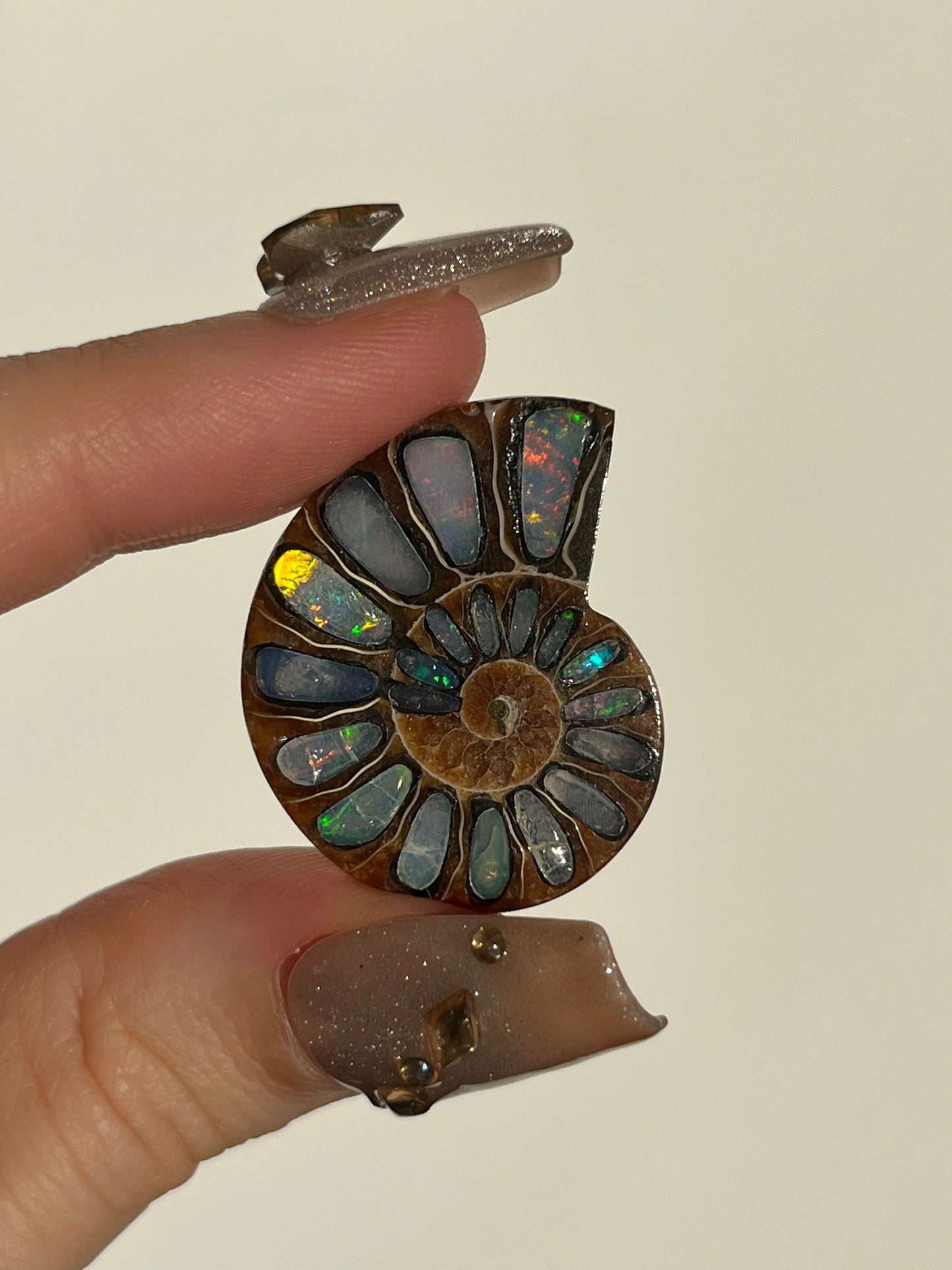 Opalised Ammonite Fossil Pair with Ethiopian Opal Inlay