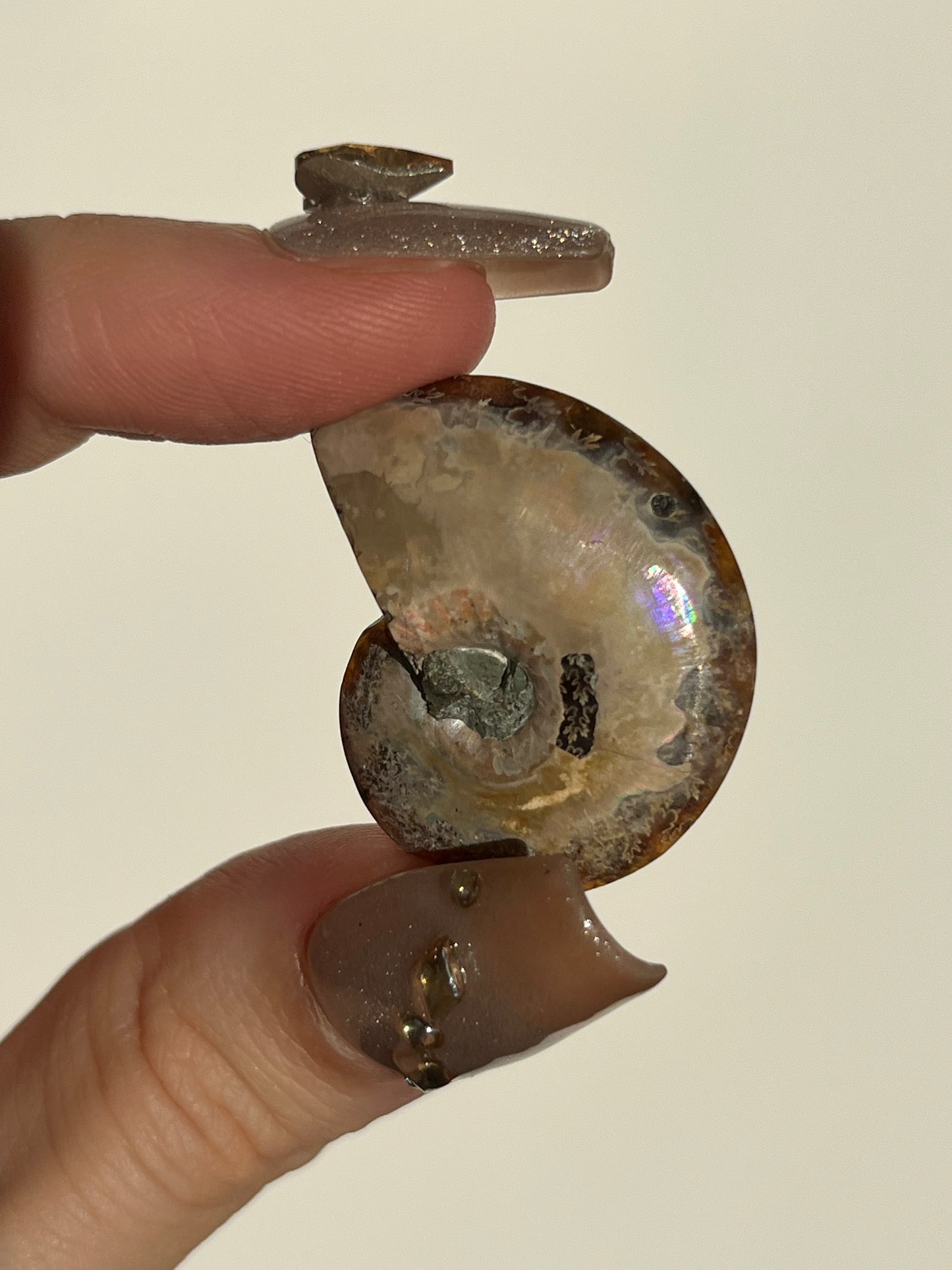 Opalised Ammonite Fossil Pair with Ethiopian Opal Inlay