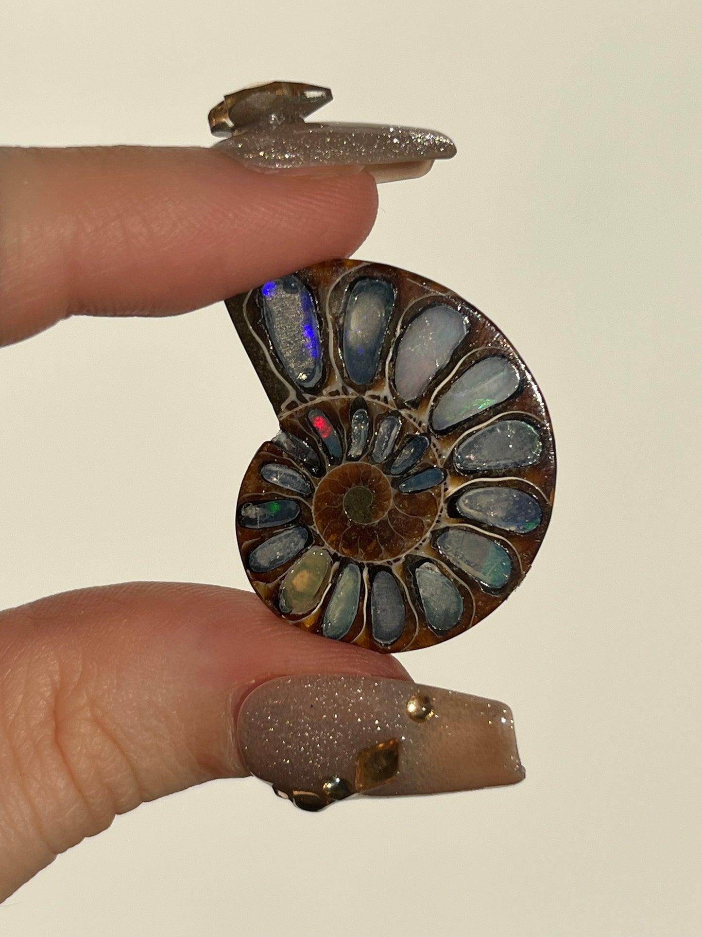 Opalised Ammonite Fossil Pair with Ethiopian Opal Inlay