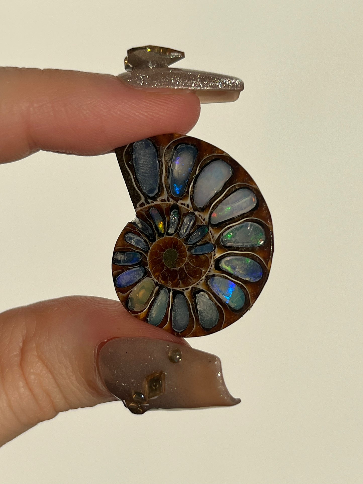 Opalised Ammonite Fossil Pair with Ethiopian Opal Inlay