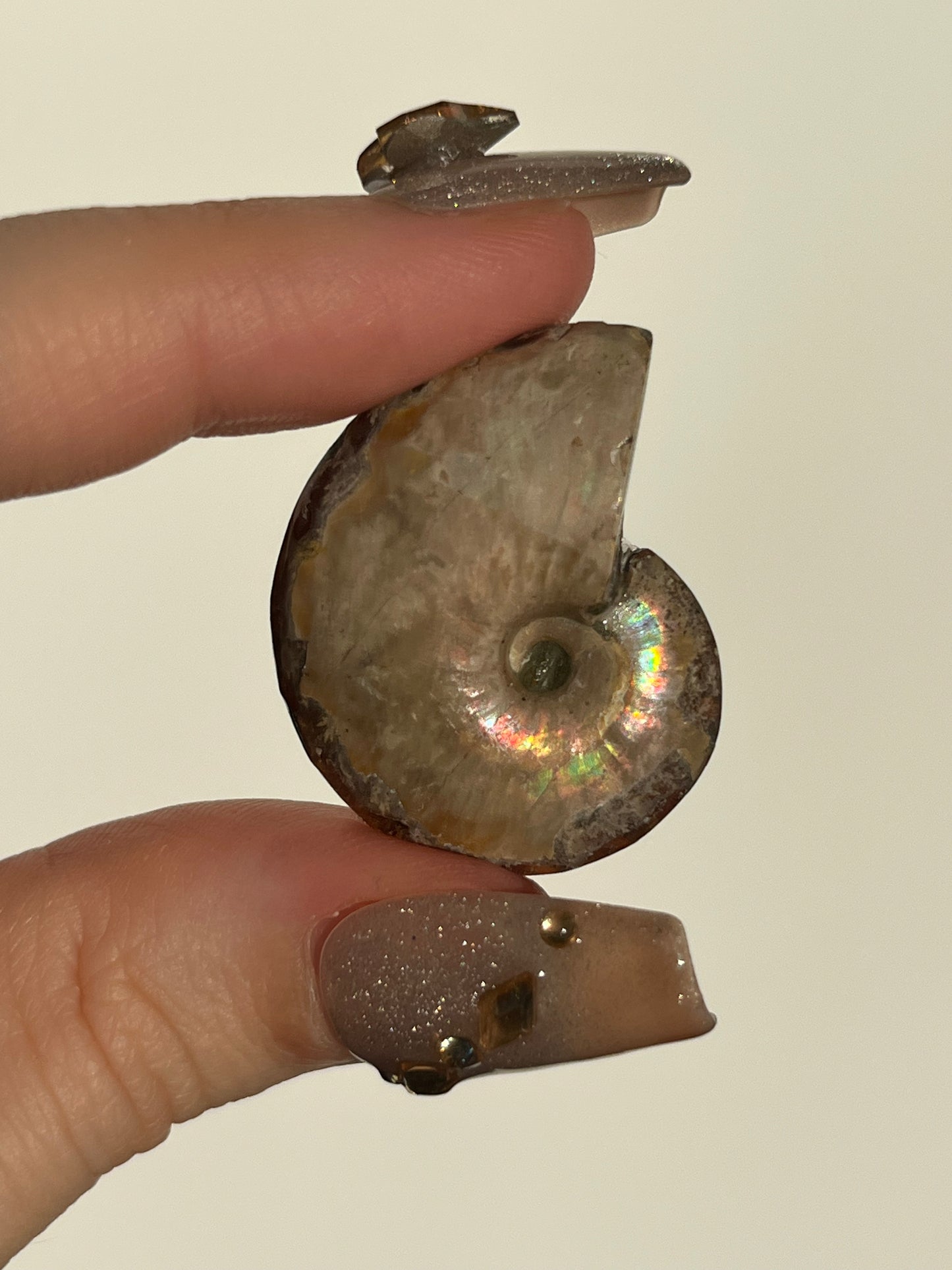 Opalised Ammonite Fossil Pair with Ethiopian Opal Inlay