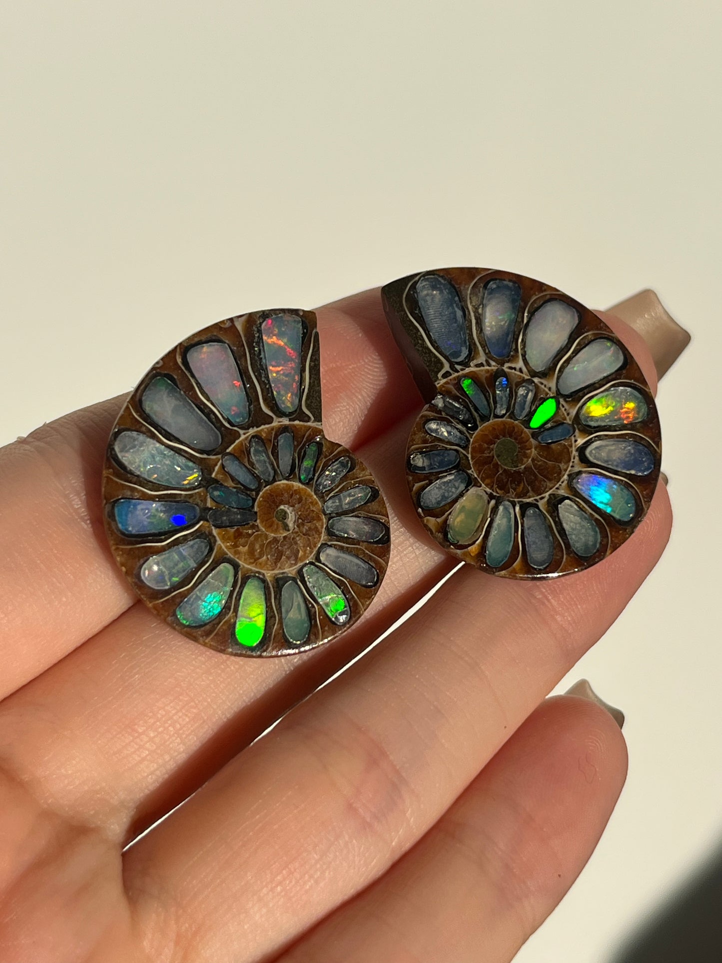 Opalised Ammonite Fossil Pair with Ethiopian Opal Inlay