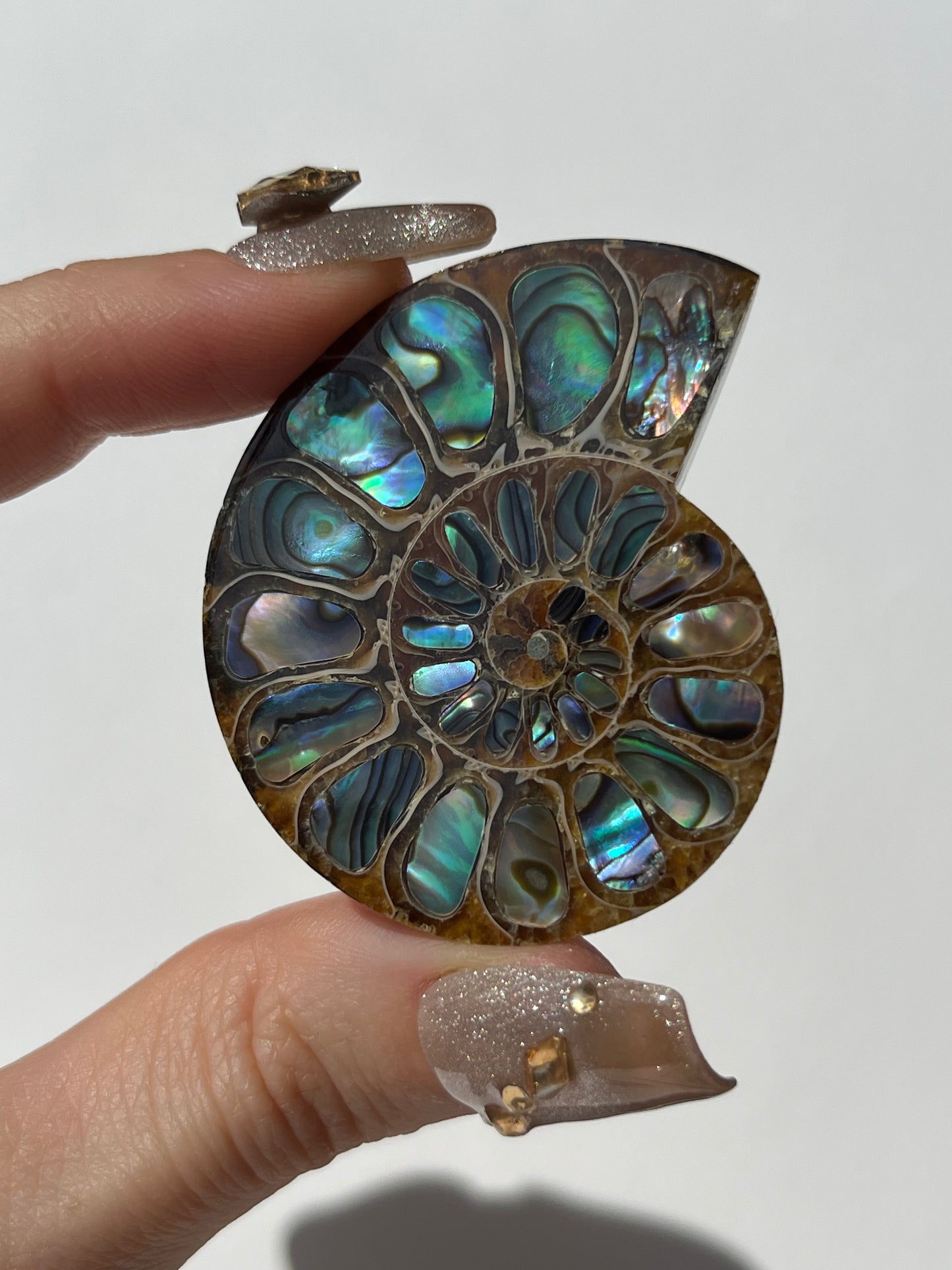 Opalised Ammonite Shell with Abalone Inlay A