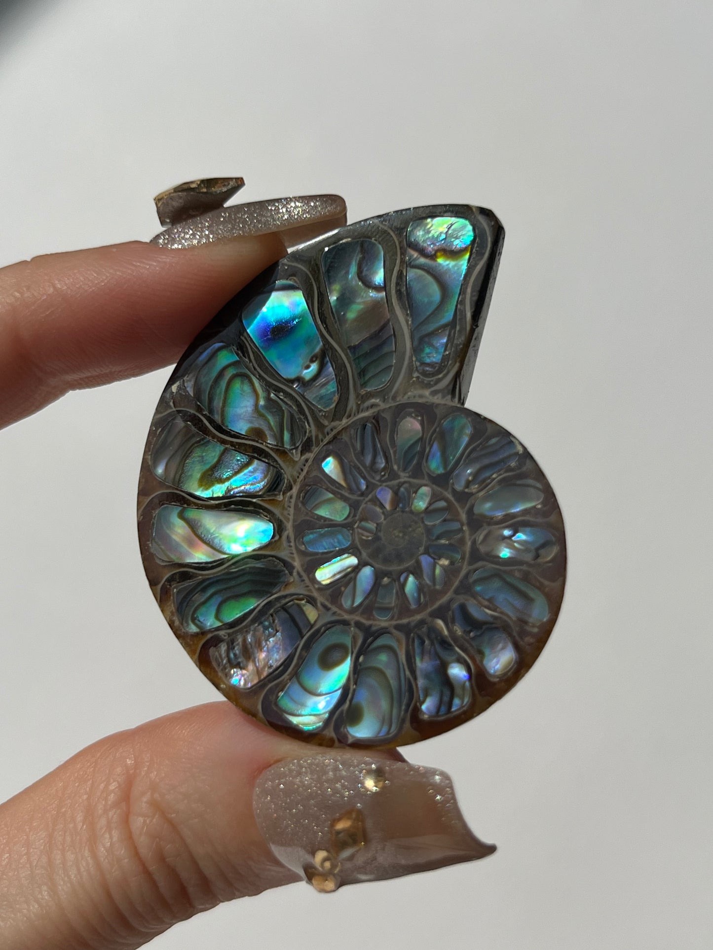 Opalised Ammonite Shell with Abalone Inlay B