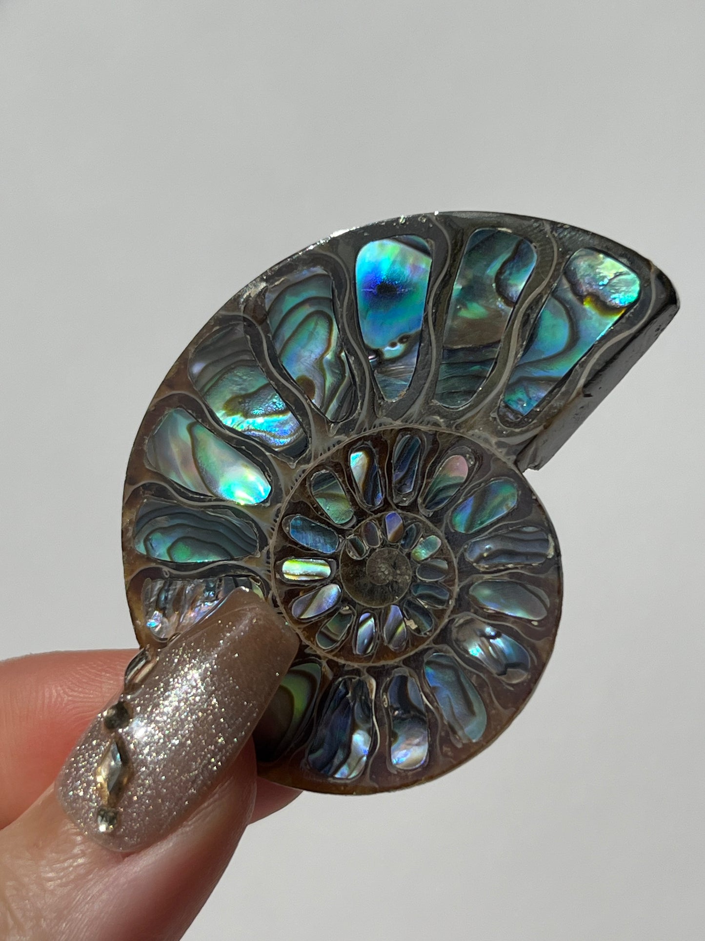 Opalised Ammonite Shell with Abalone Inlay B