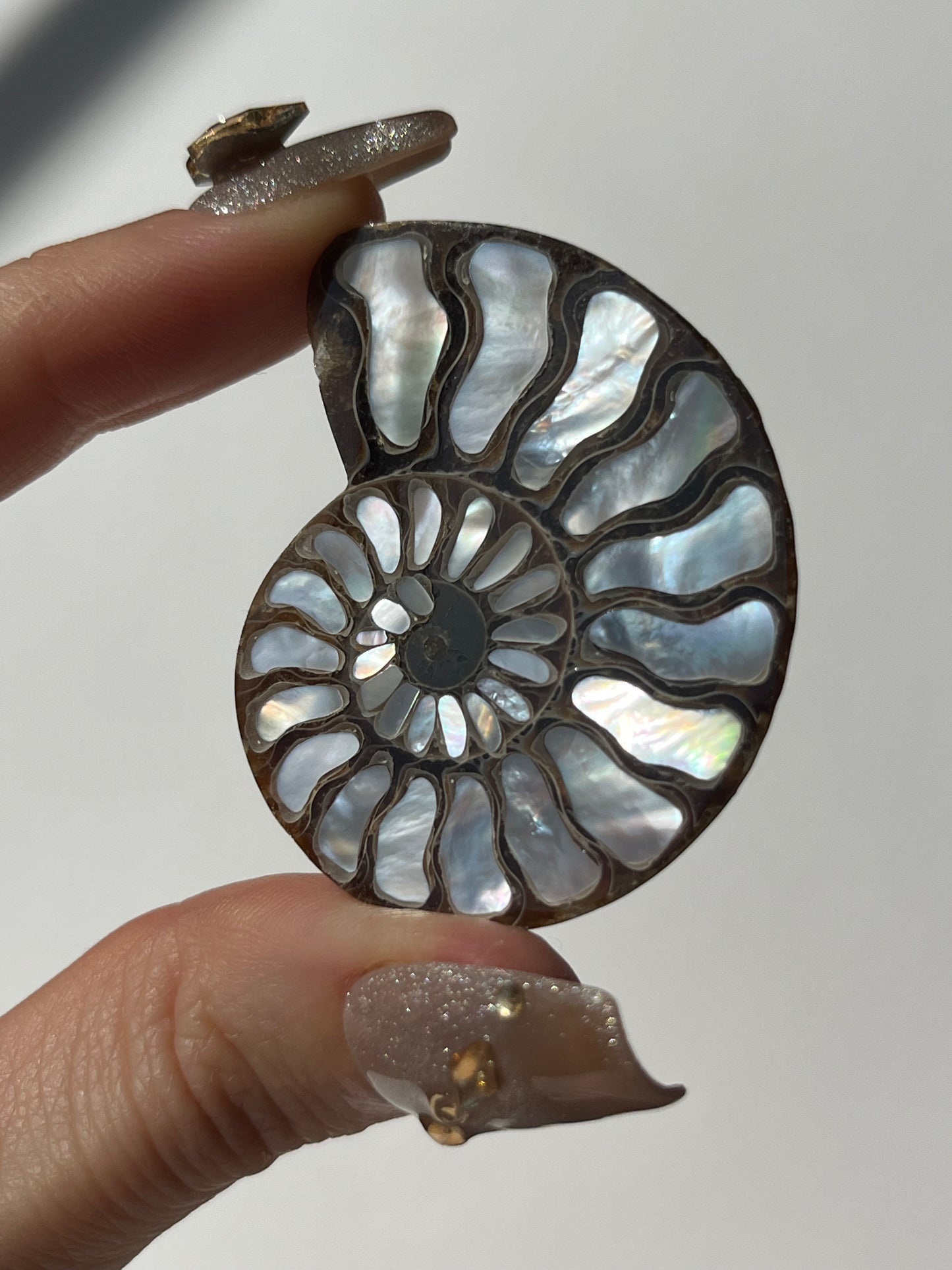 Opalised Ammonite Fossil with Mother of Pearl Inlay
