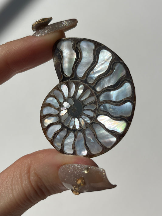 Opalised Ammonite Fossil with Mother of Pearl Inlay