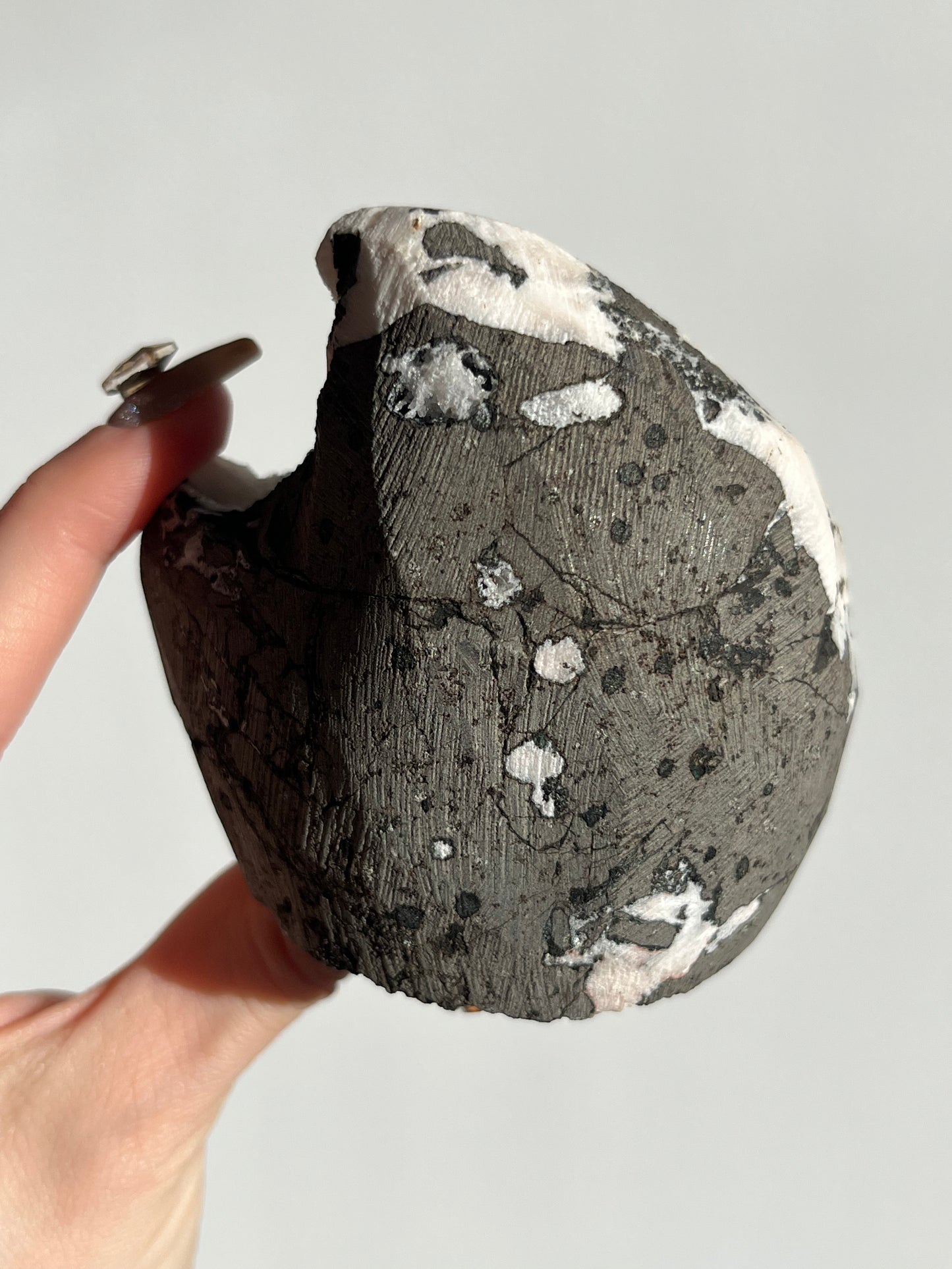 Black Chalcedony Geode Cave in Basalt with White Druzy Chalcedony and Stilbite H