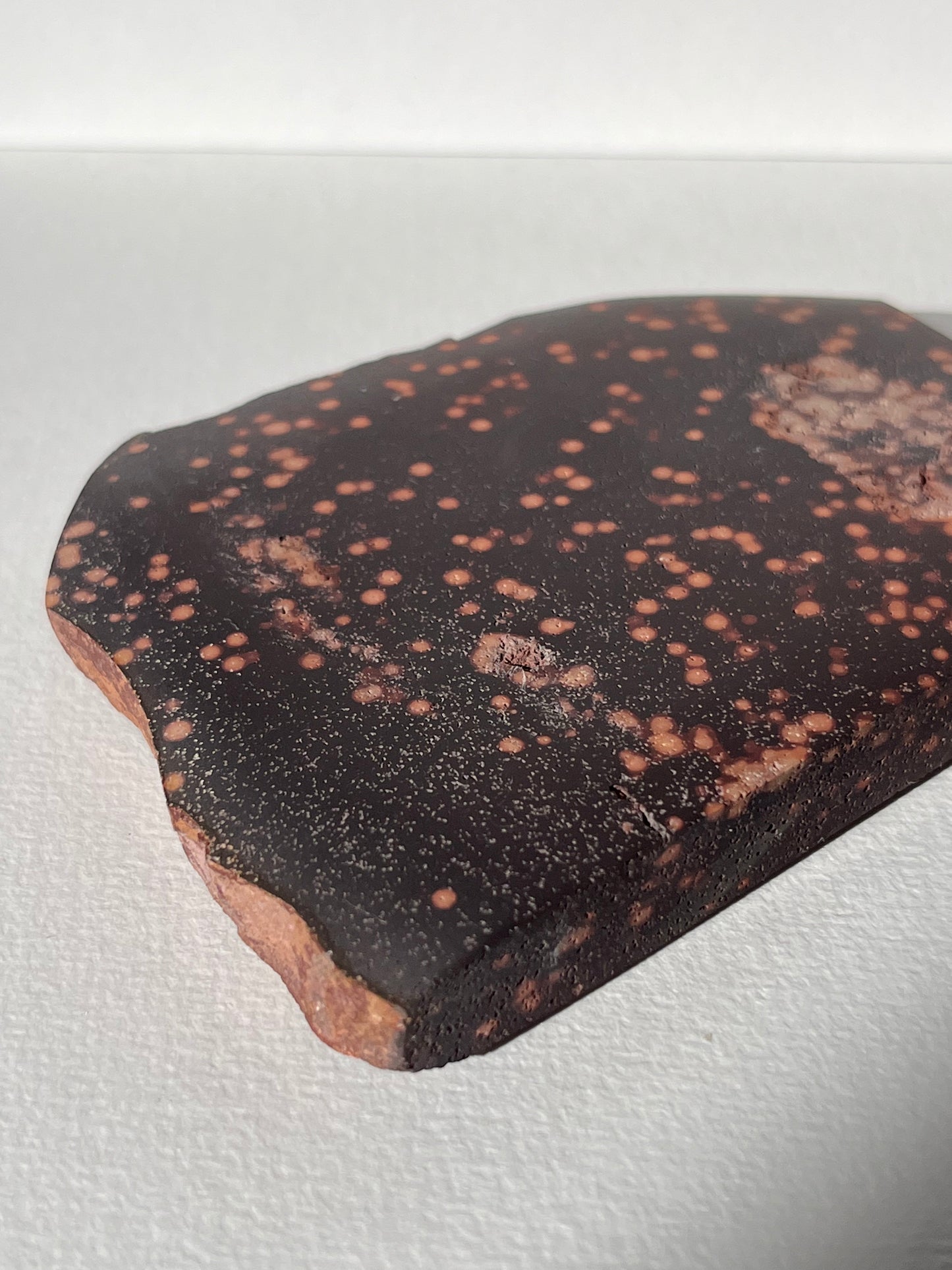 Astronomite Standing Polished Slab A