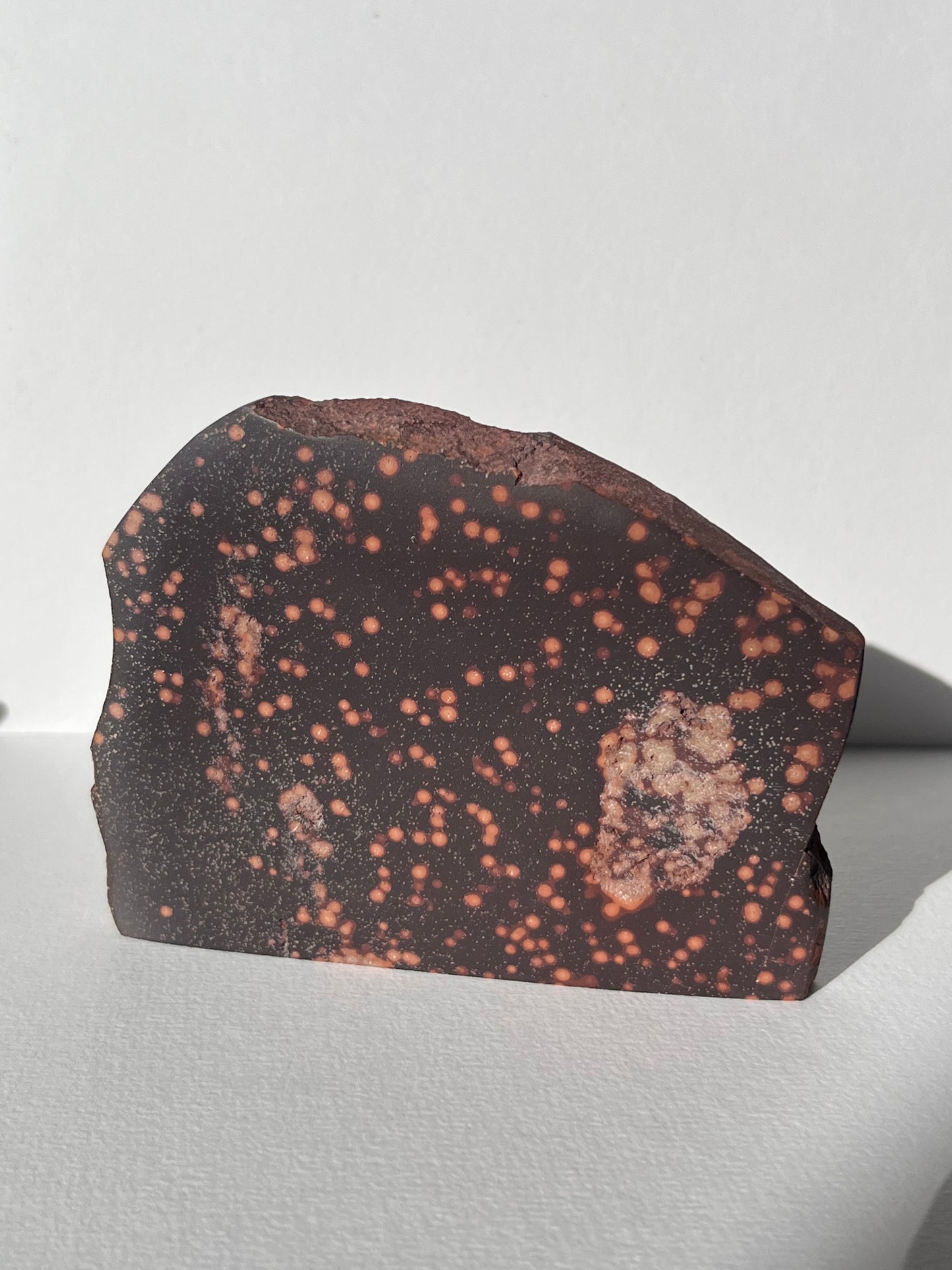 Astronomite Standing Polished Slab A