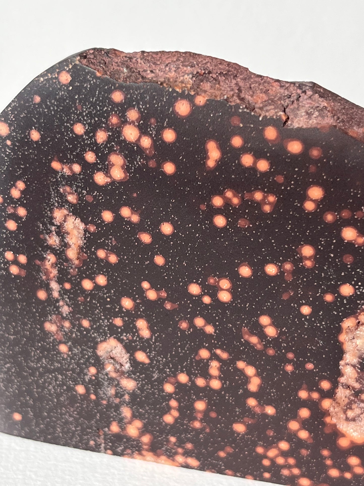 Astronomite Standing Polished Slab A