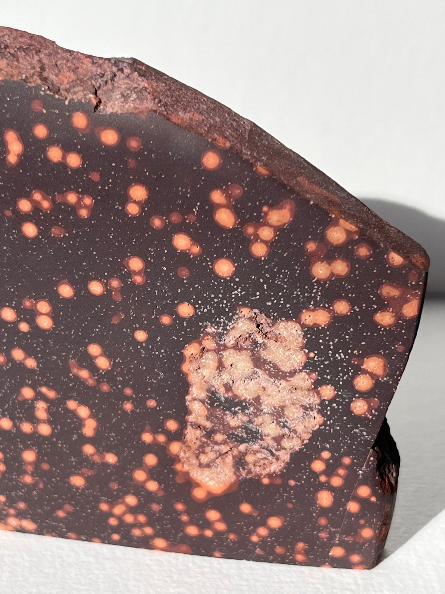 Astronomite Standing Polished Slab A