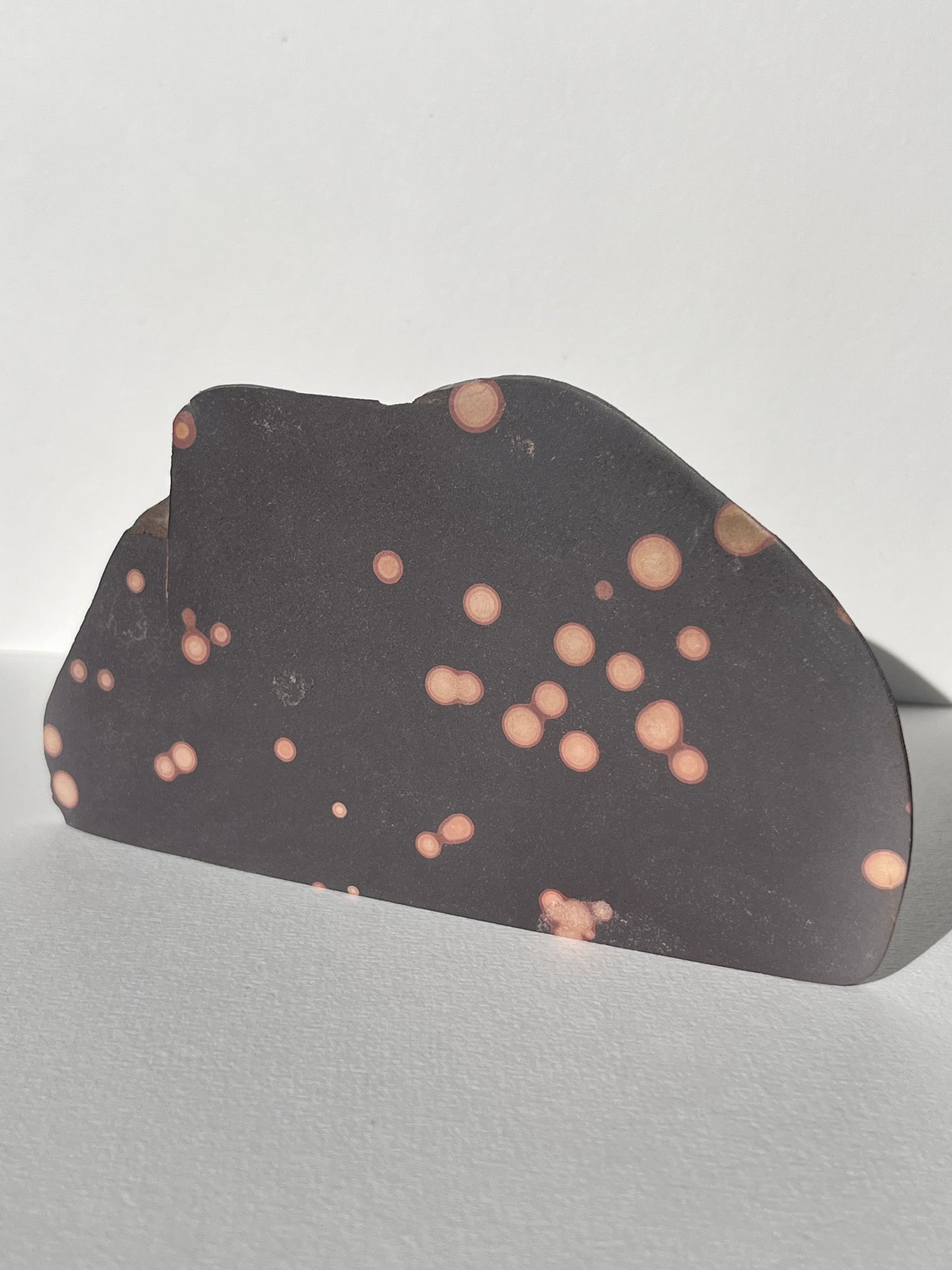 Astronomite Standing Polished Slab B