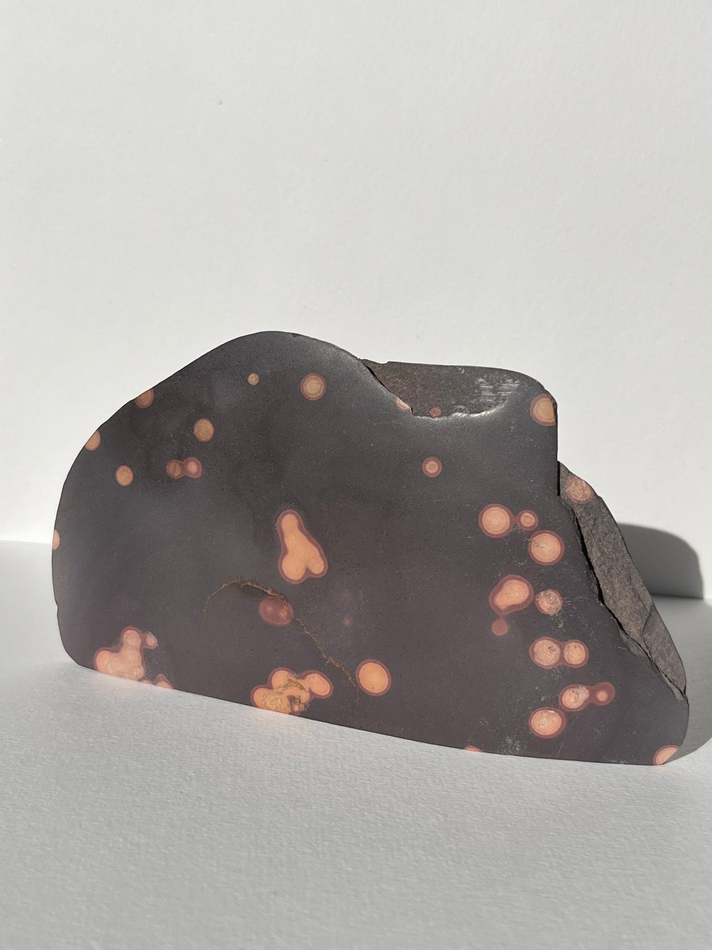 Astronomite Standing Polished Slab B