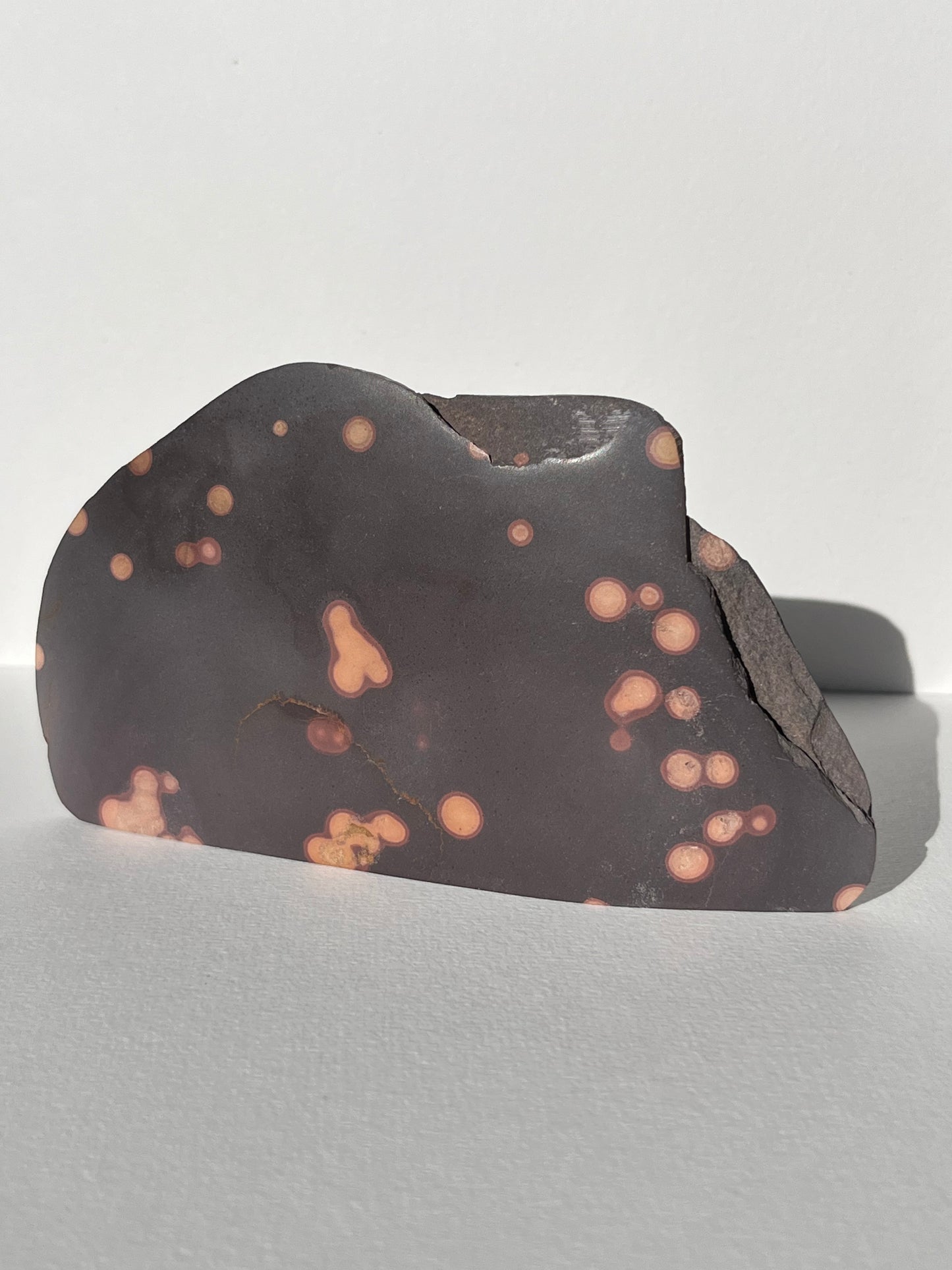 Astronomite Standing Polished Slab B