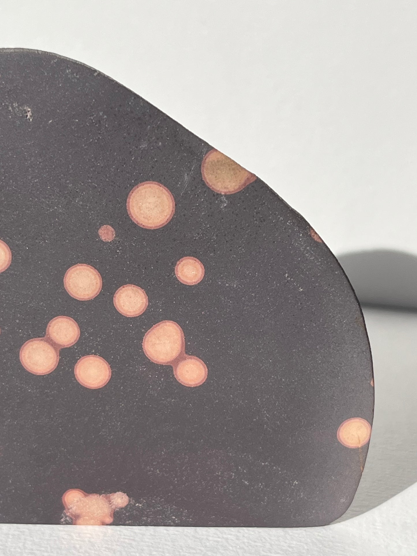 Astronomite Standing Polished Slab B