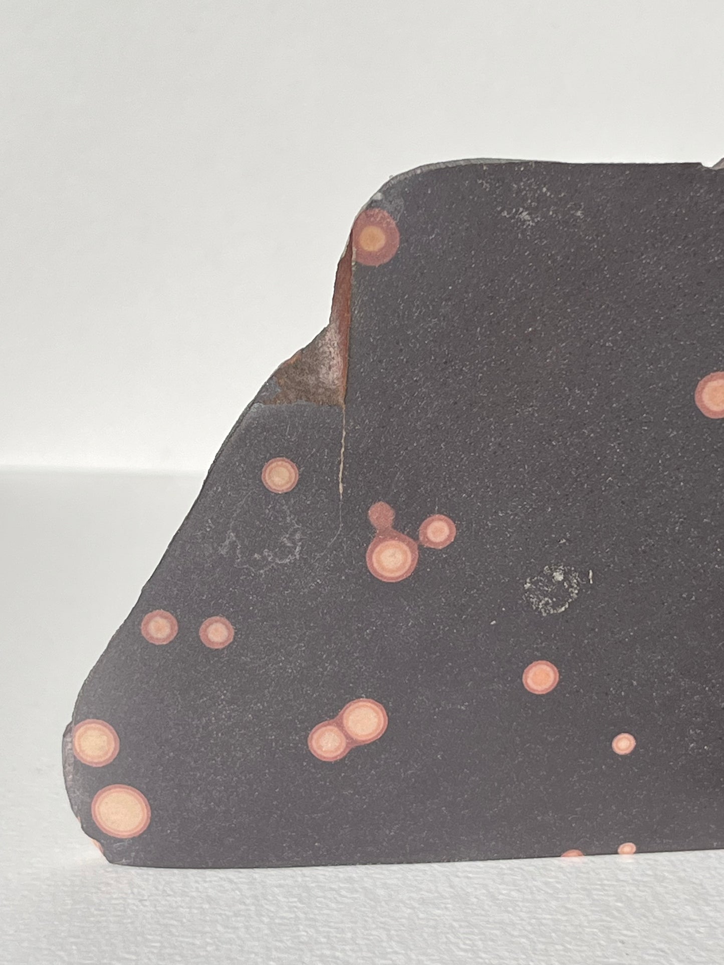 Astronomite Standing Polished Slab B