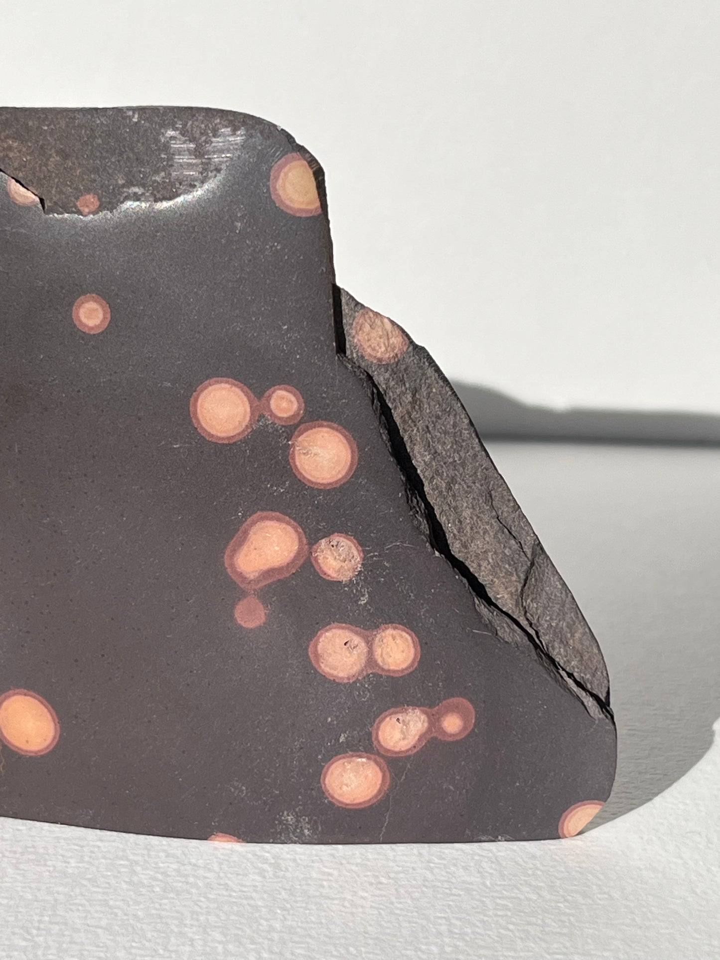 Astronomite Standing Polished Slab B