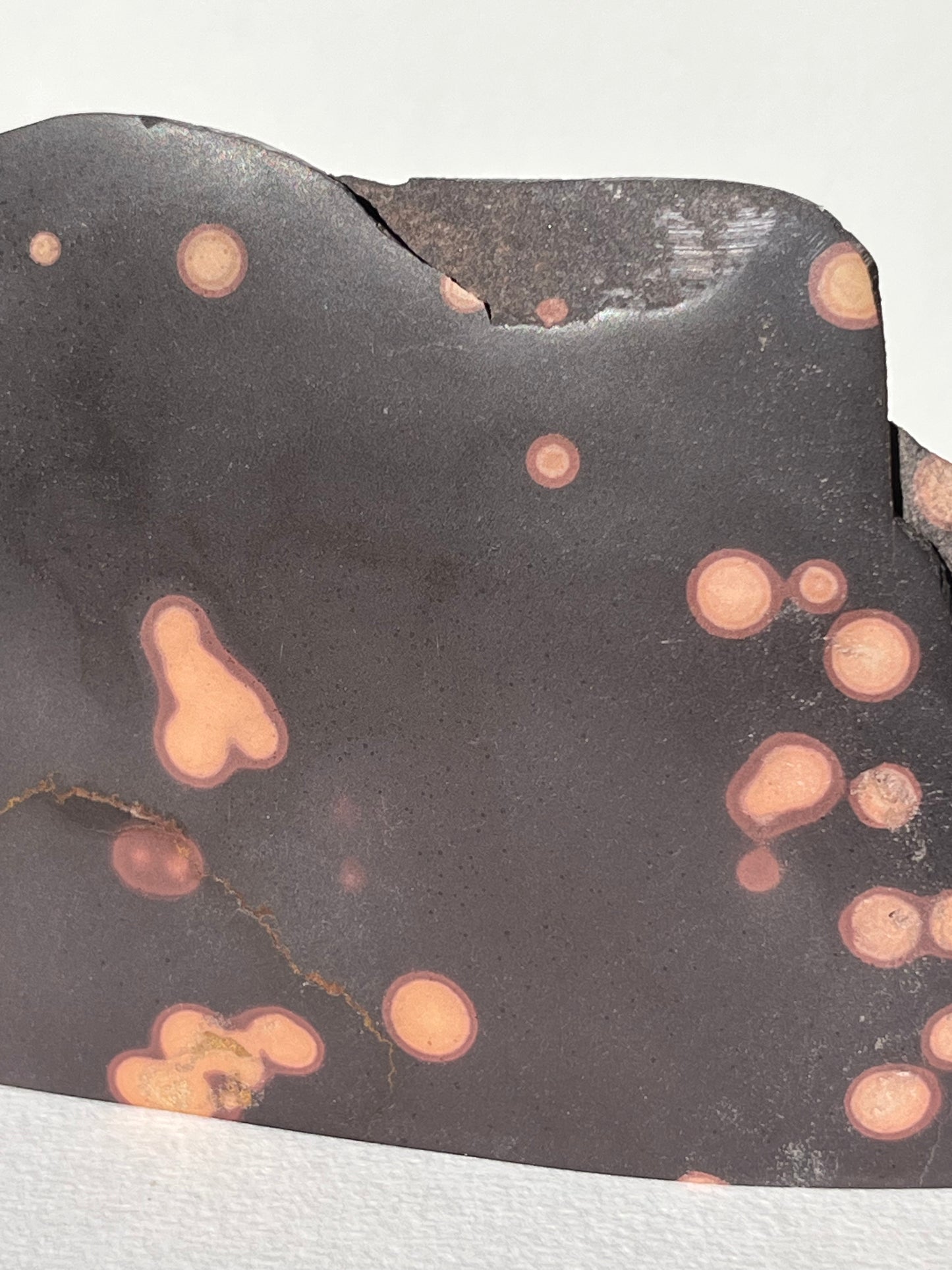 Astronomite Standing Polished Slab B