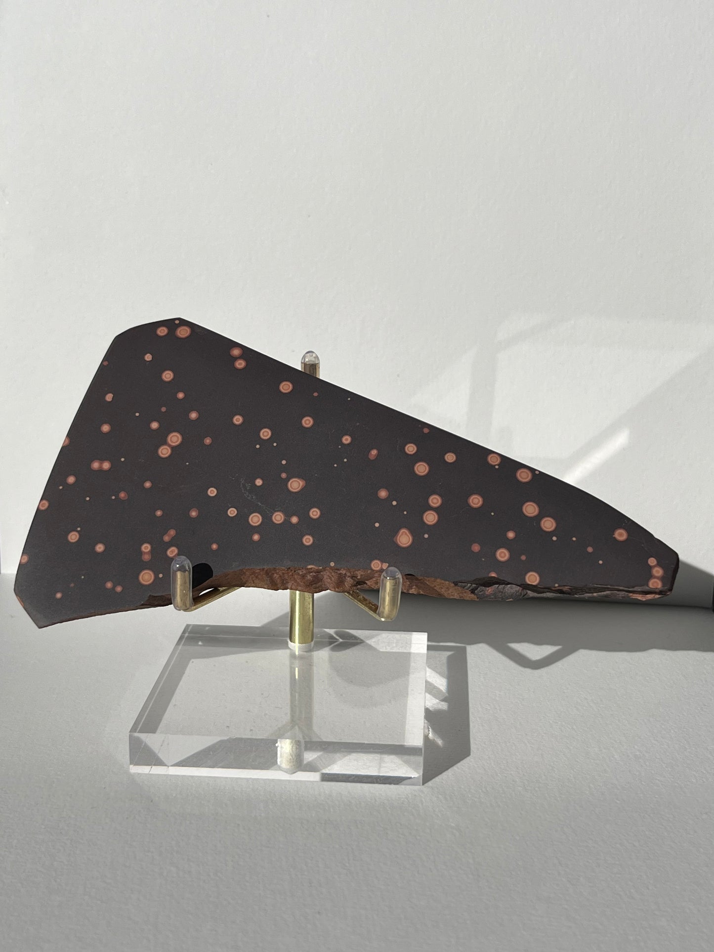 Astronomite Polished Slab C