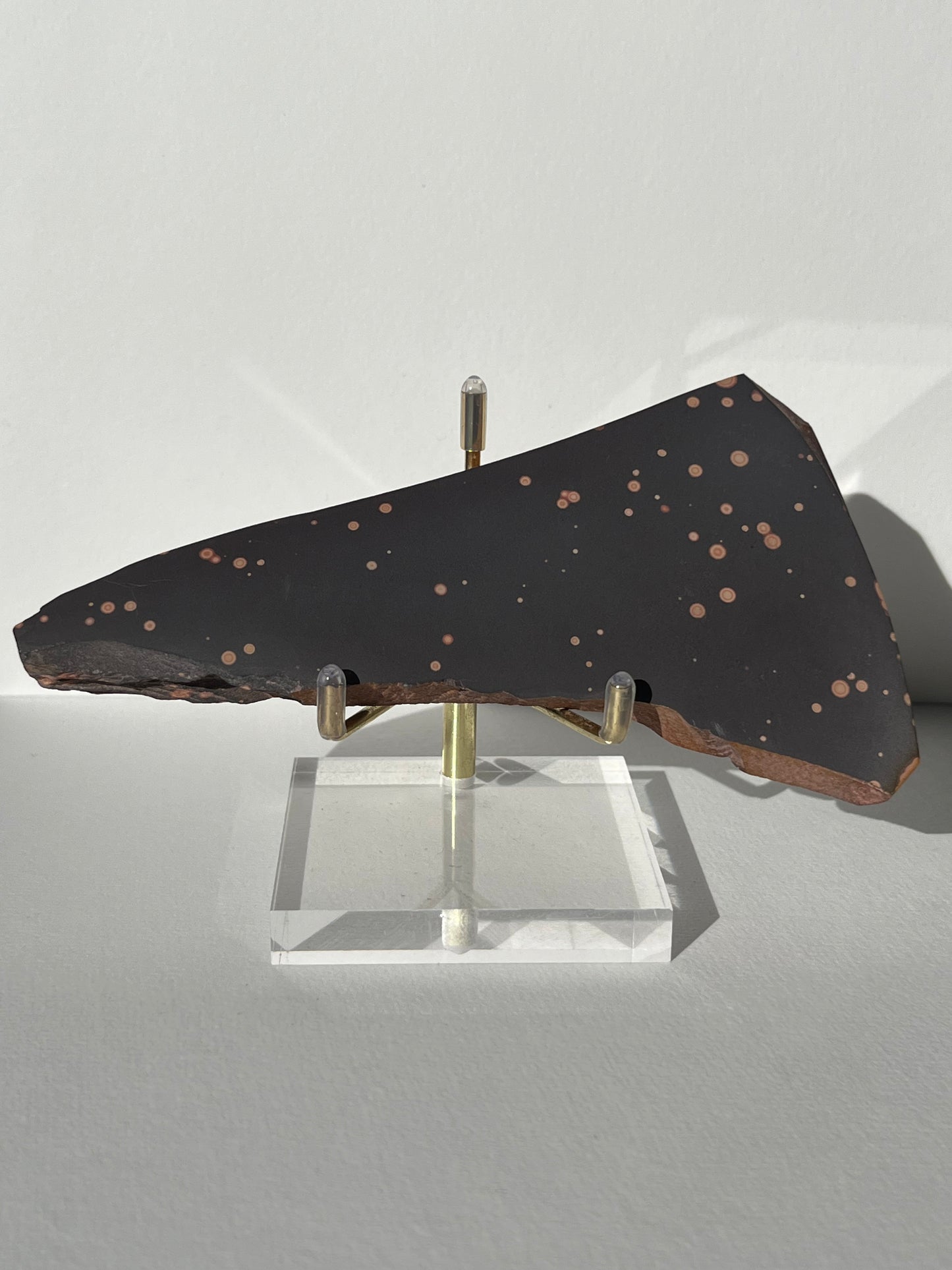 Astronomite Polished Slab C