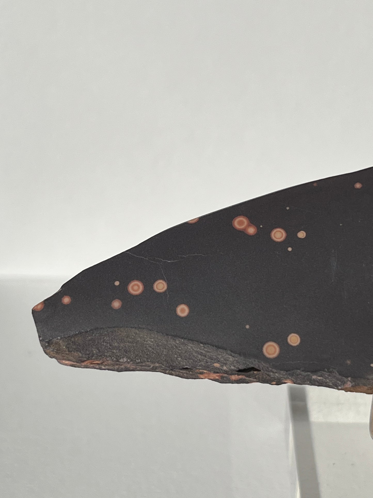 Astronomite Polished Slab C