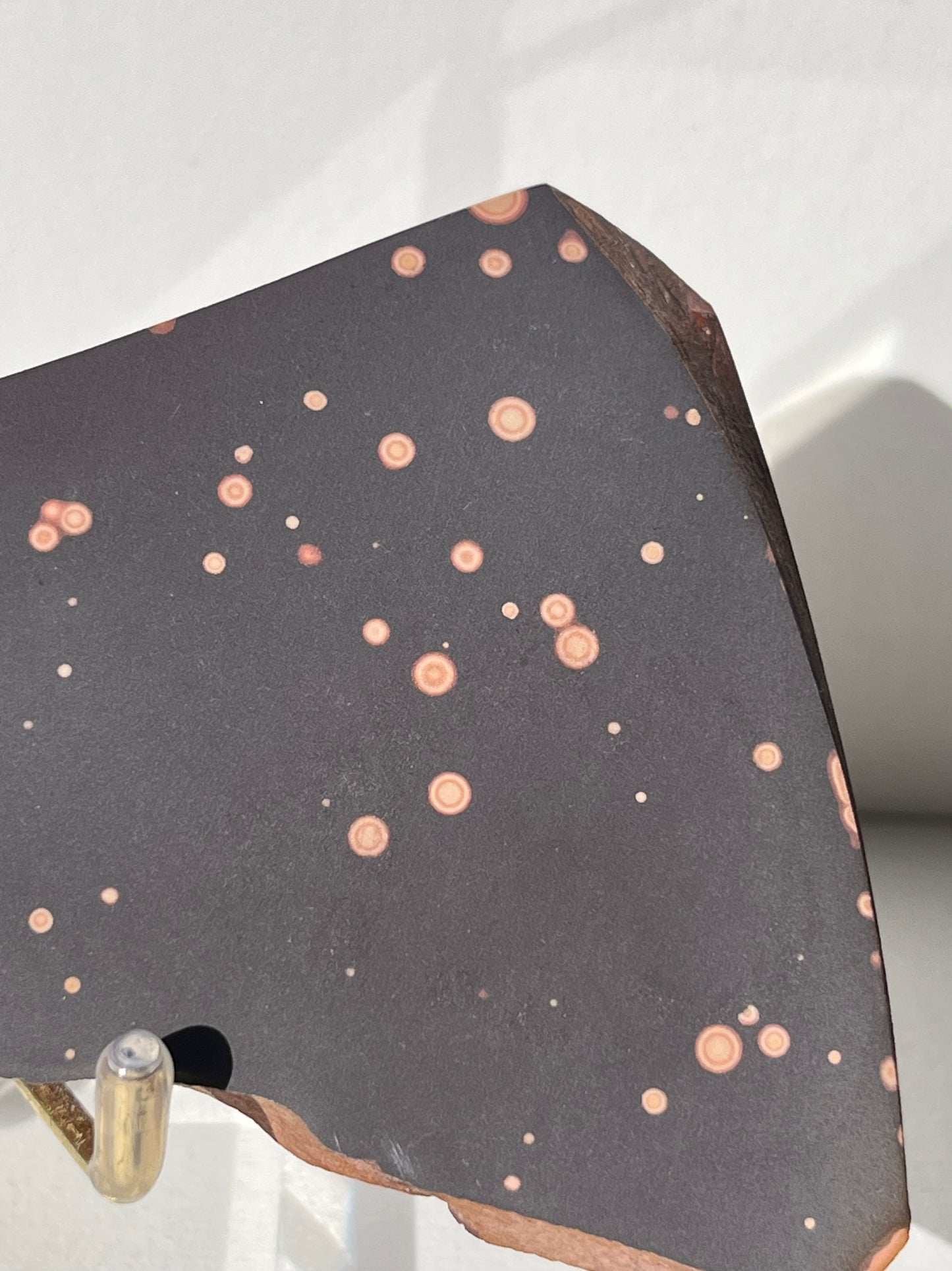 Astronomite Polished Slab C