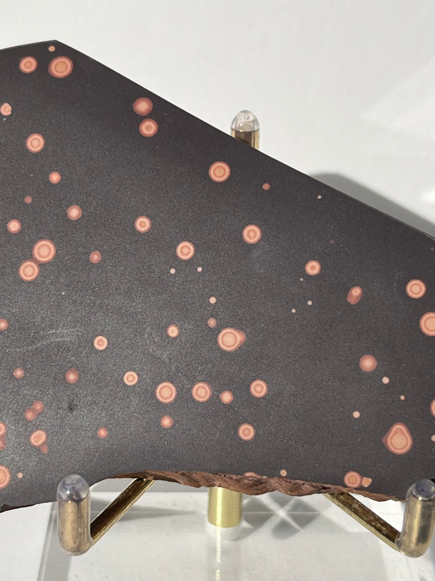 Astronomite Polished Slab C