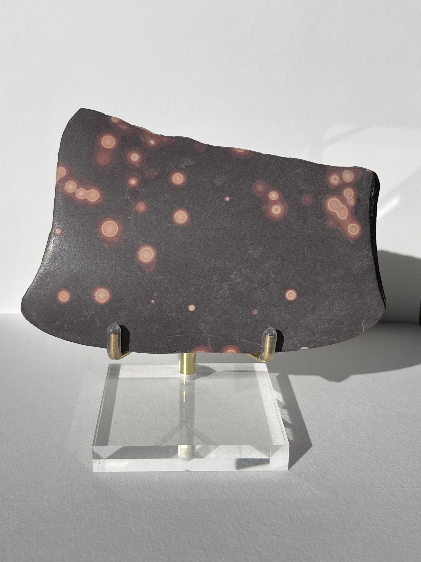 Astronomite Polished Slab D