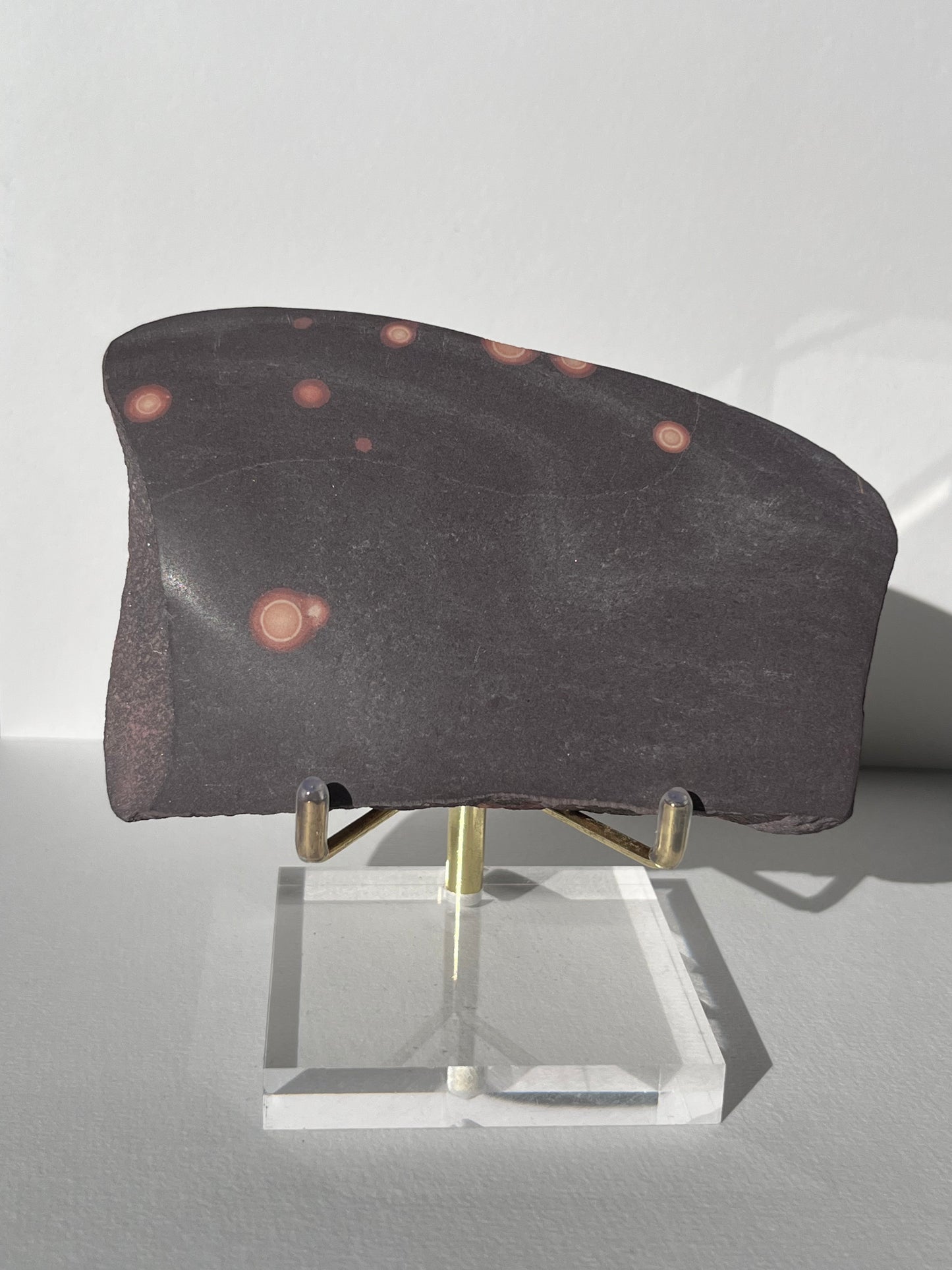 Astronomite Polished Slab D