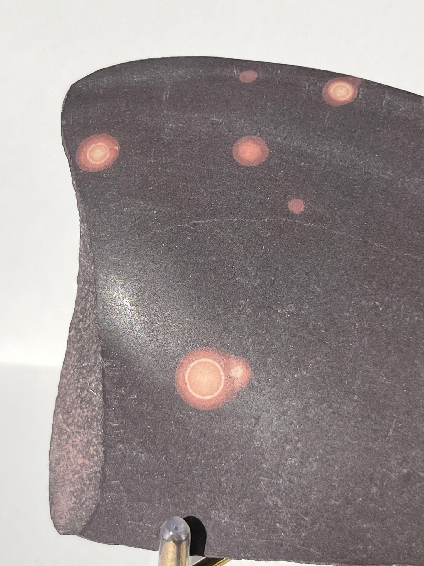 Astronomite Polished Slab D