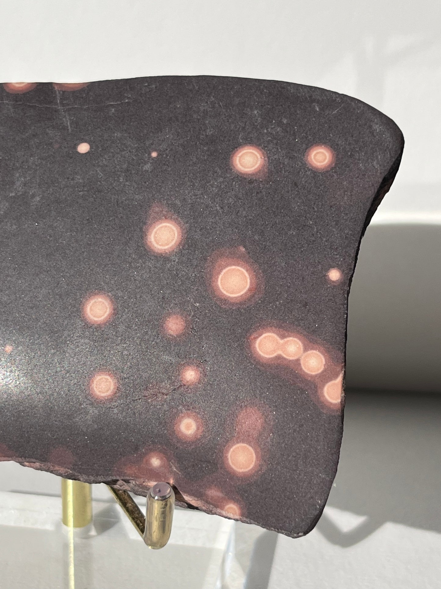 Astronomite Polished Slab D