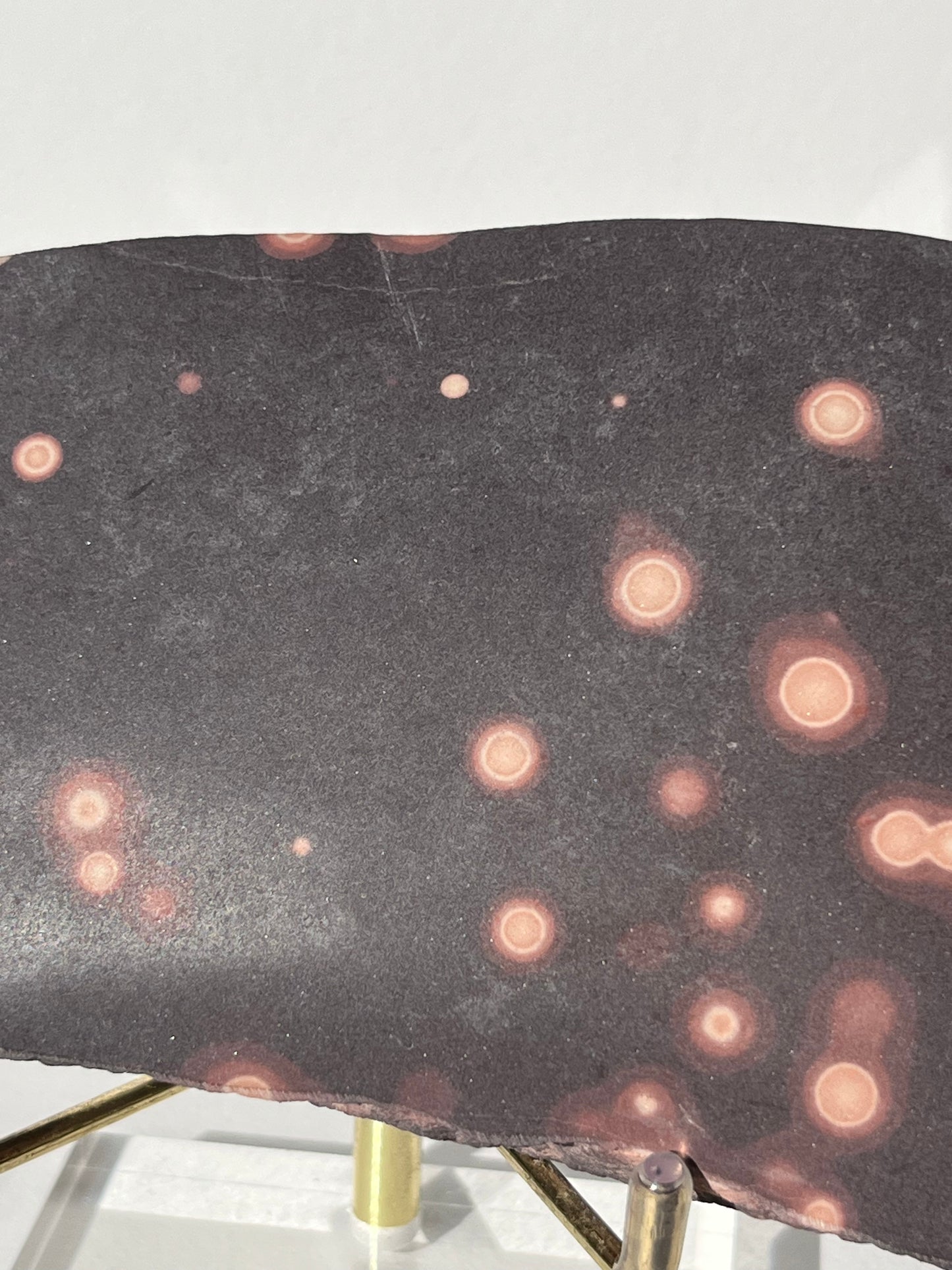 Astronomite Polished Slab D