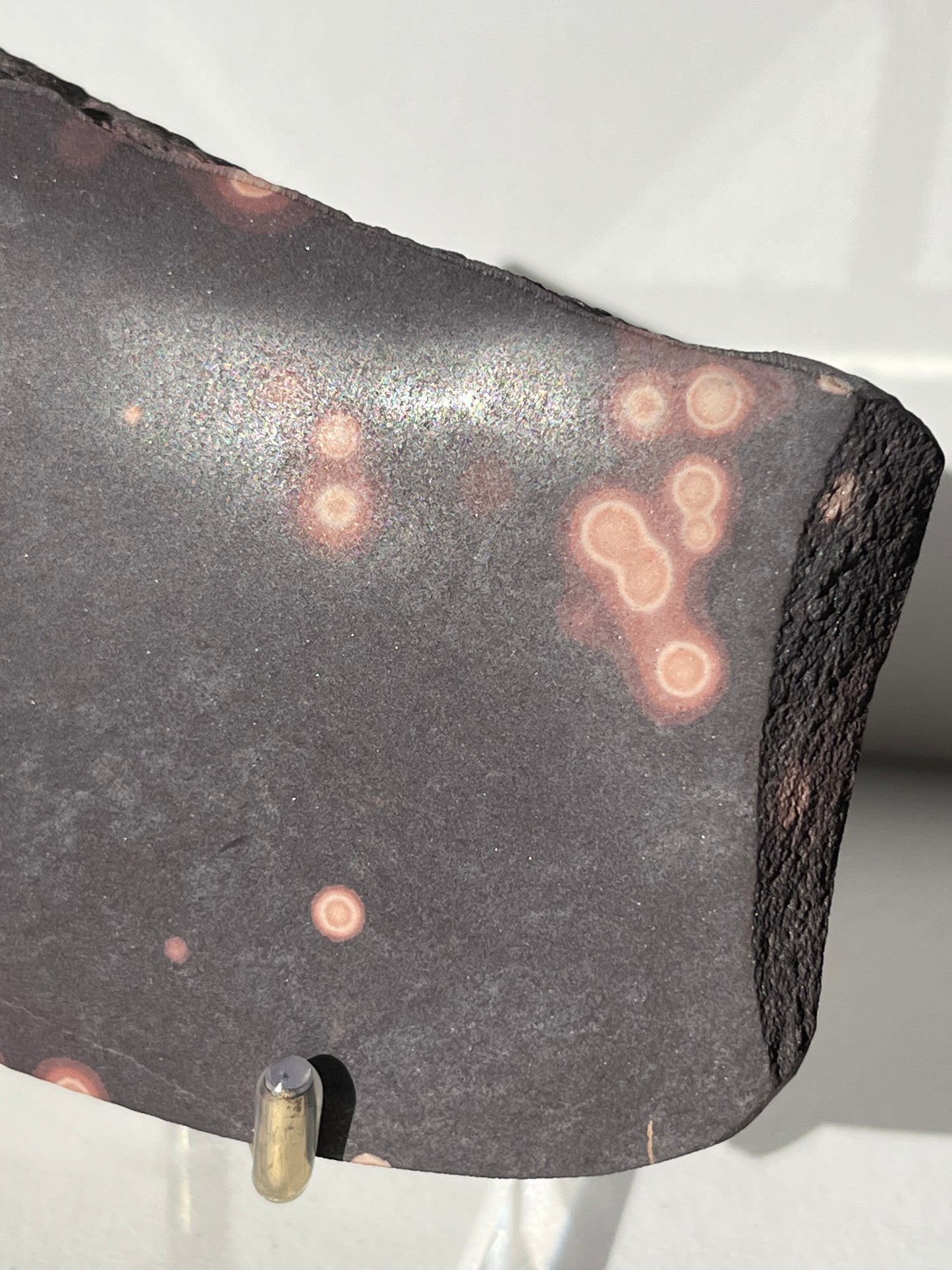 Astronomite Polished Slab D