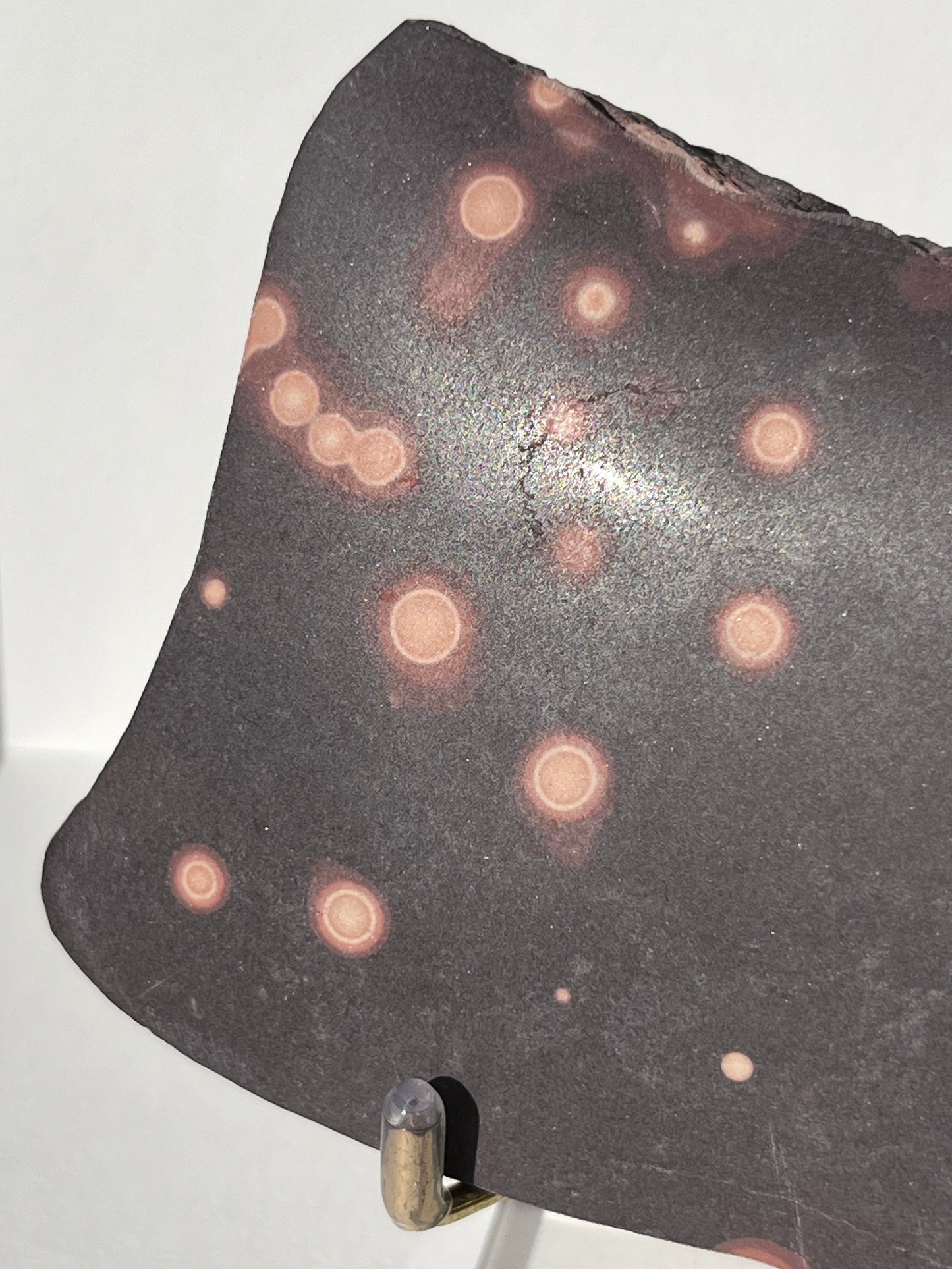 Astronomite Polished Slab D